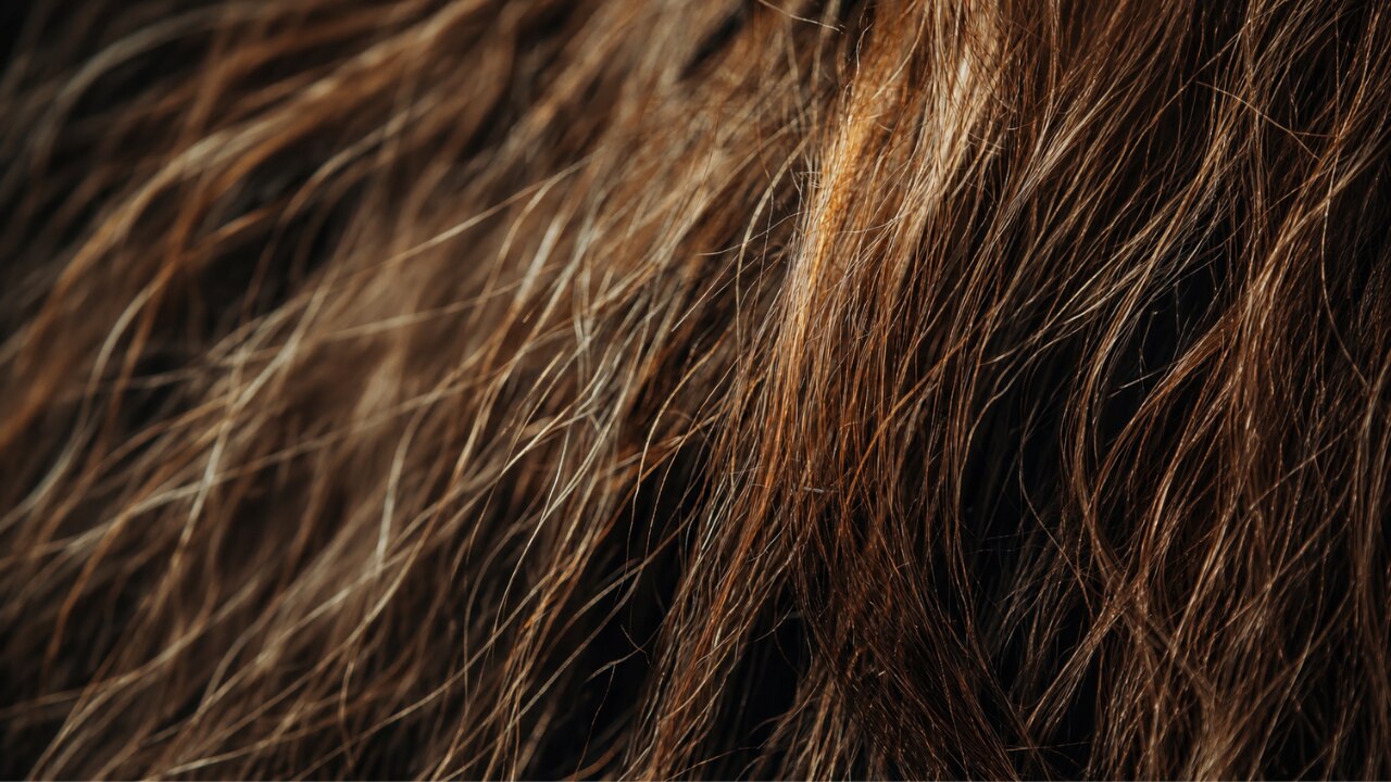 Silky Hair Tips Based on Hair Type