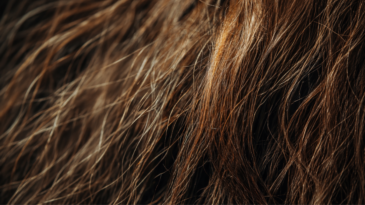 Silky Hair Tips Based on Hair Type