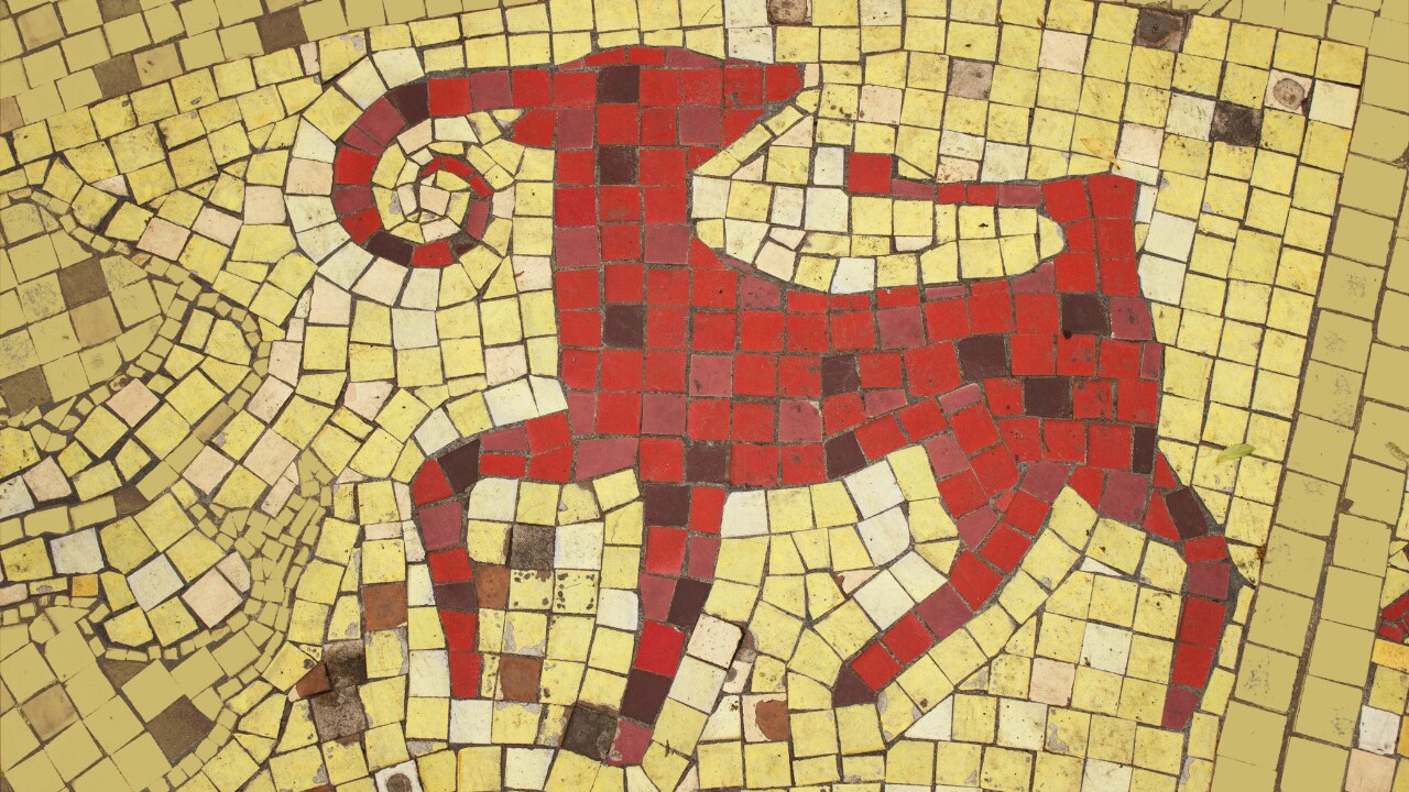 Capricorn