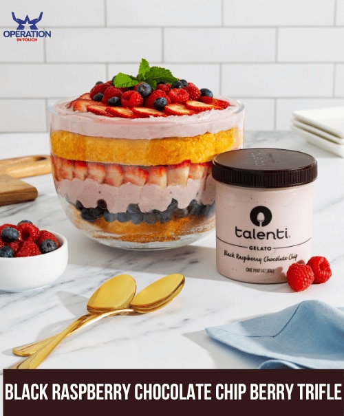 Talenti-Black-Raspberry-Chocolate-Chip-Berry-Trifle