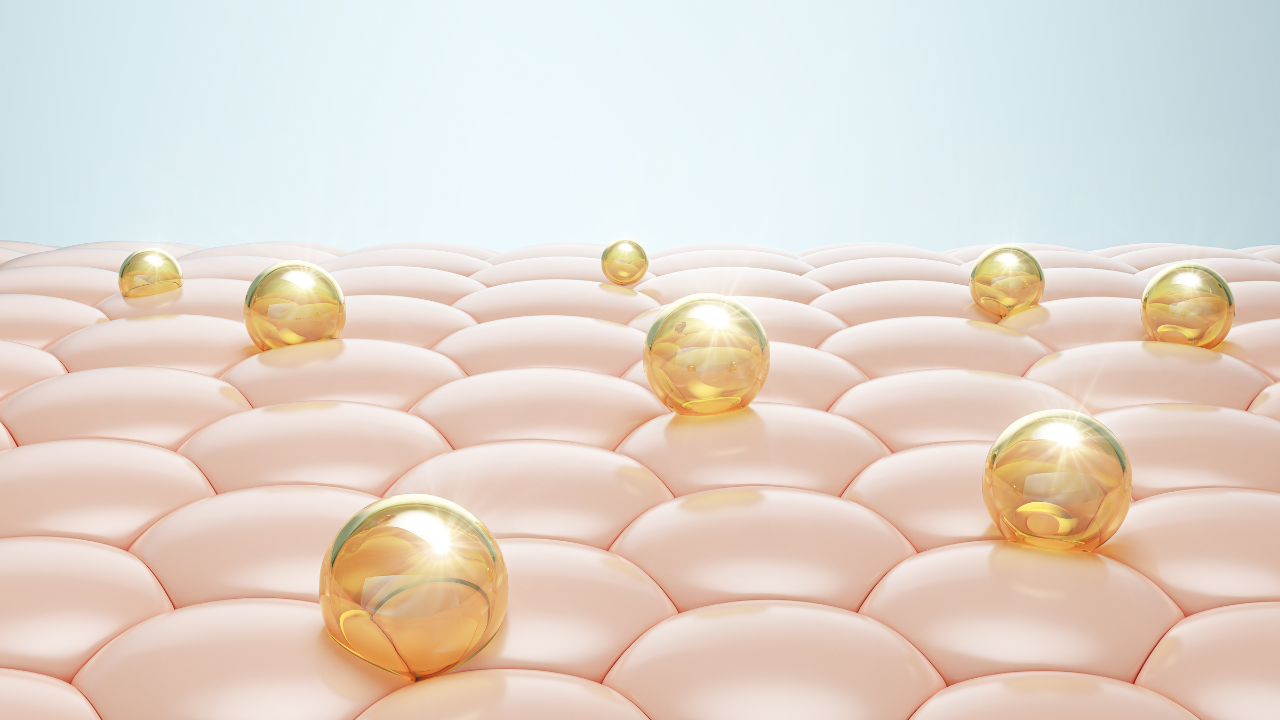 What Is Collagen?