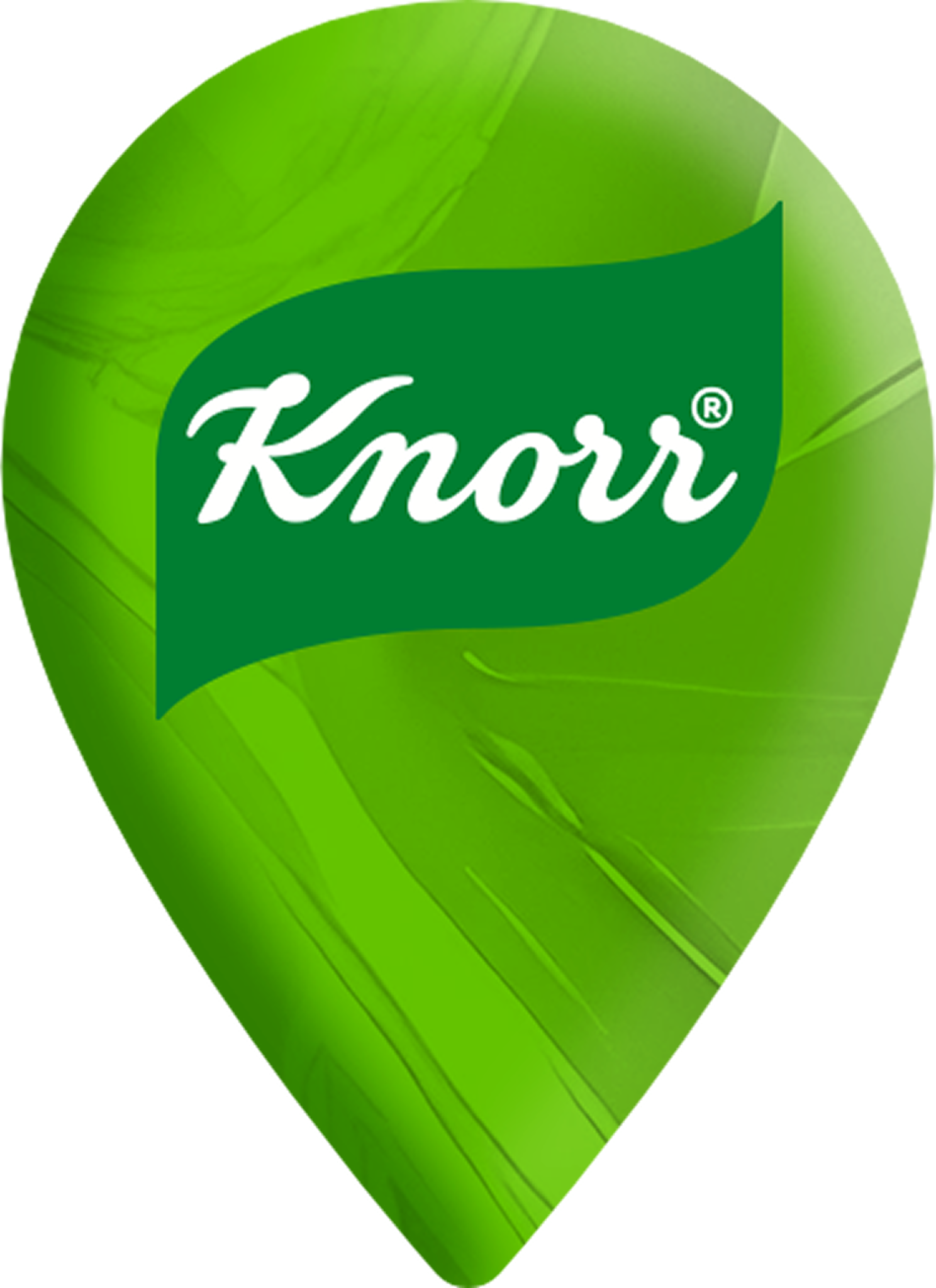 Knorr