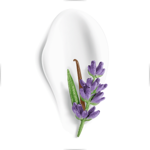 galho de lavanda sobre um creme