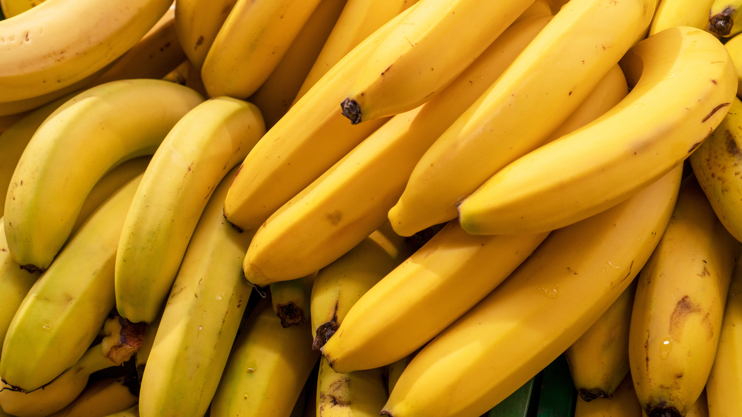 Bananas