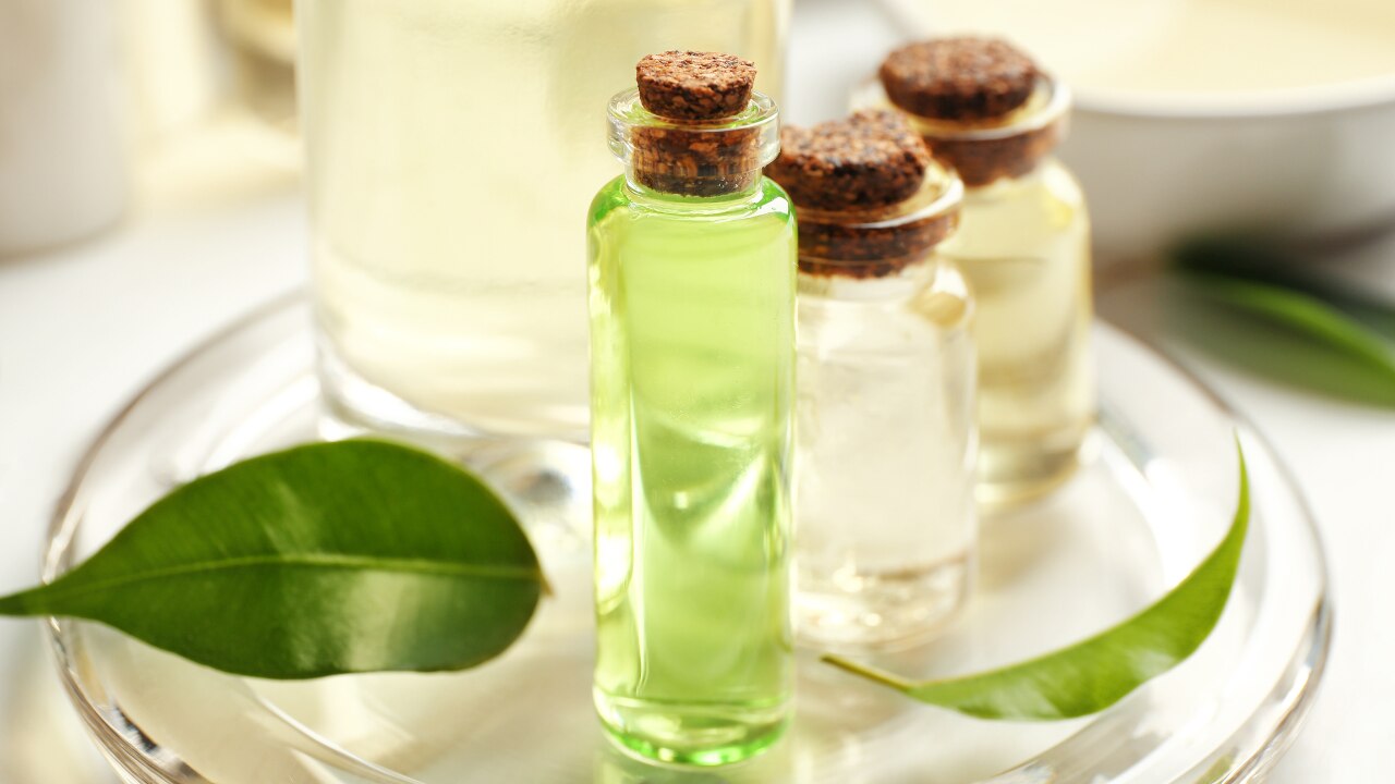 Green Tea Extract