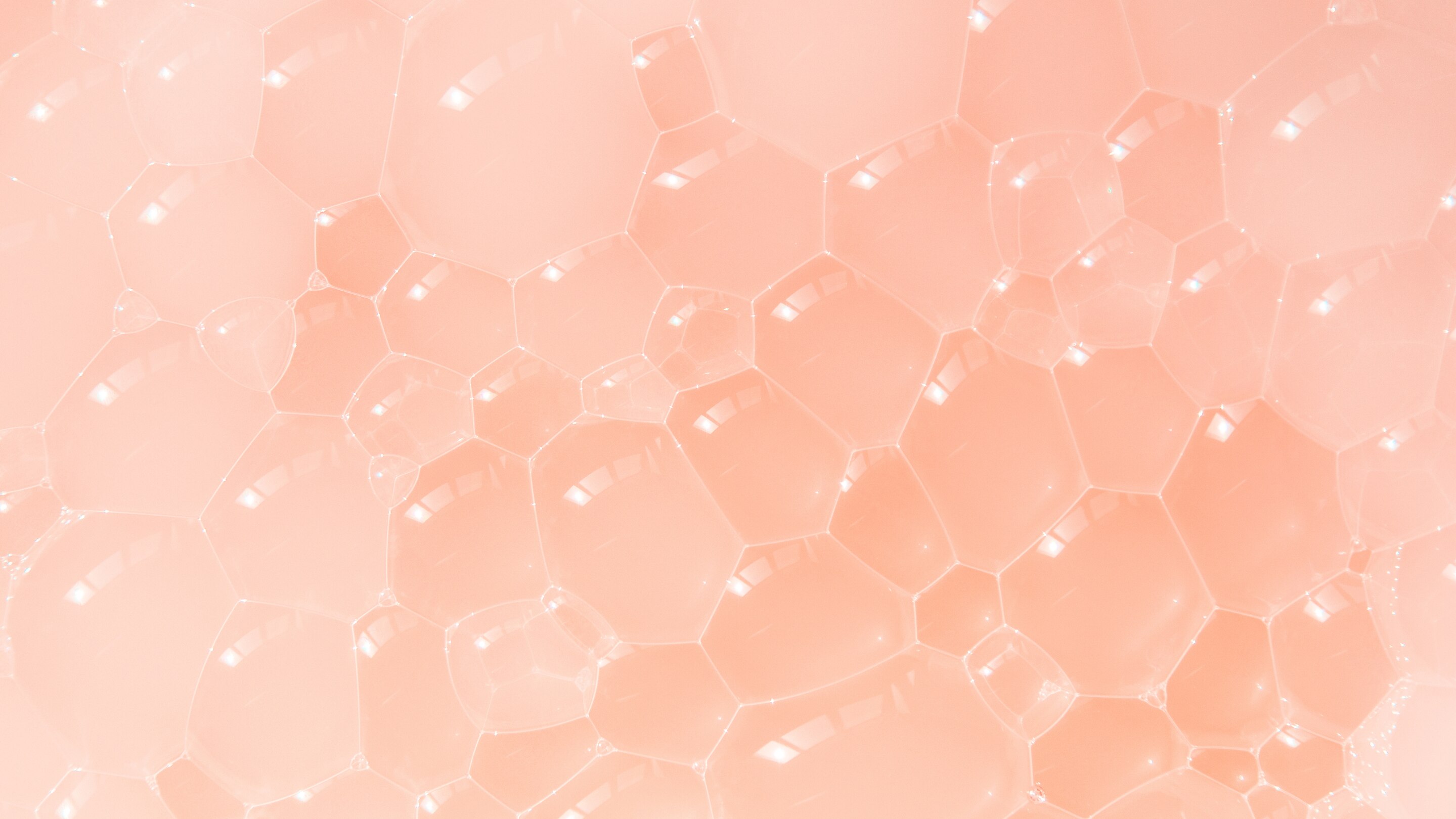 Prioritise ceramides