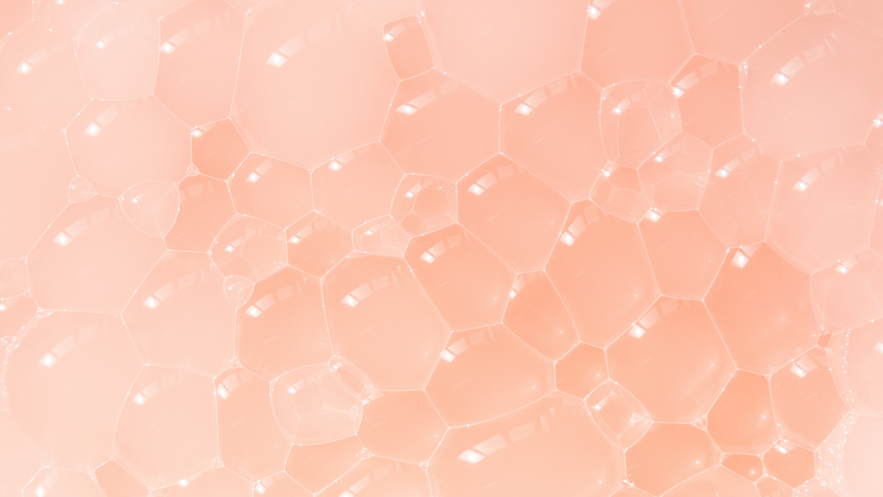 Prioritise ceramides