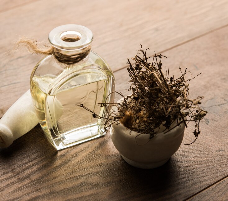 Image of Bhringraj Oil for Hair Growth: Benefits, How to Use It & What to Expect