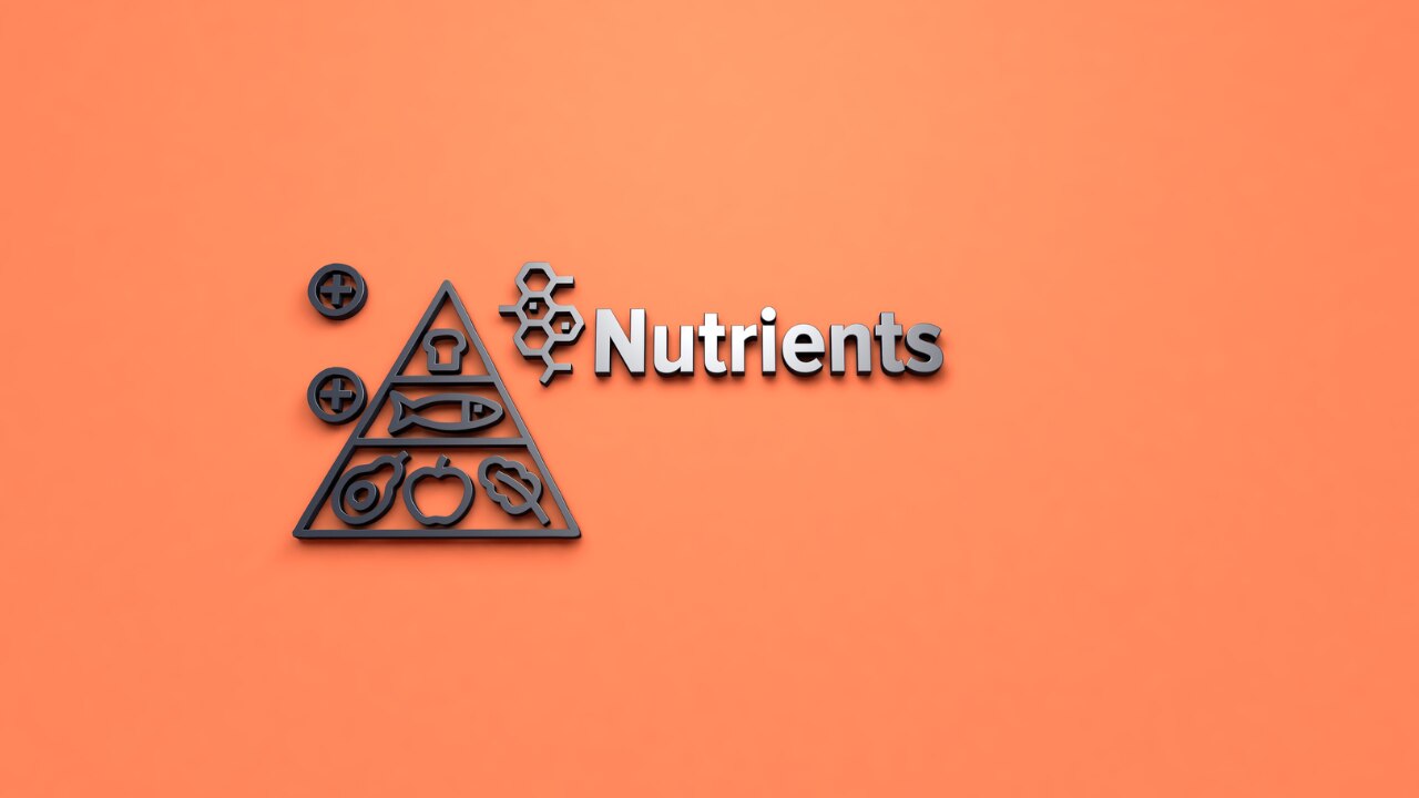Improved nutrient absorption