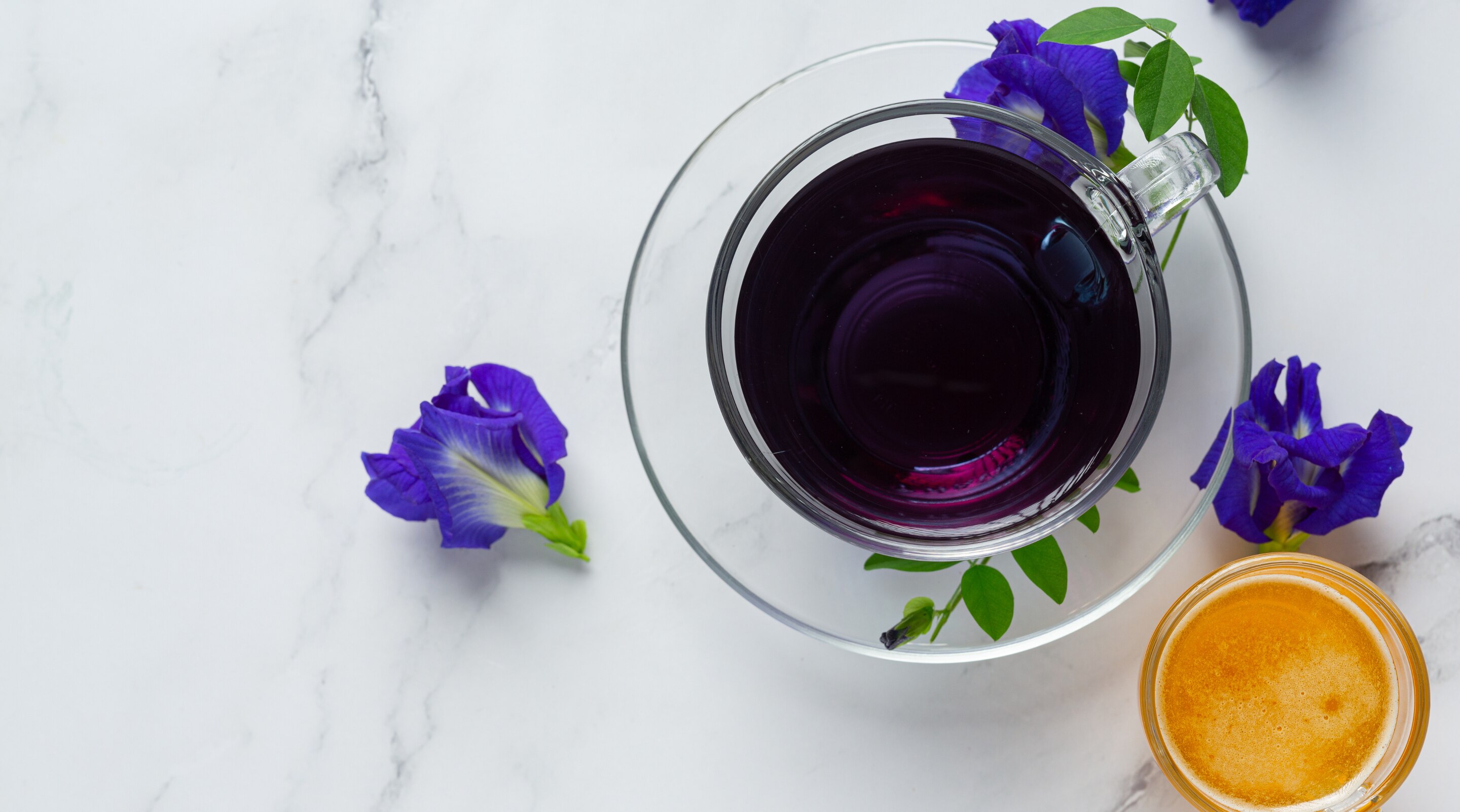 Blue Tea Benefits Uses and Weight Loss Facts