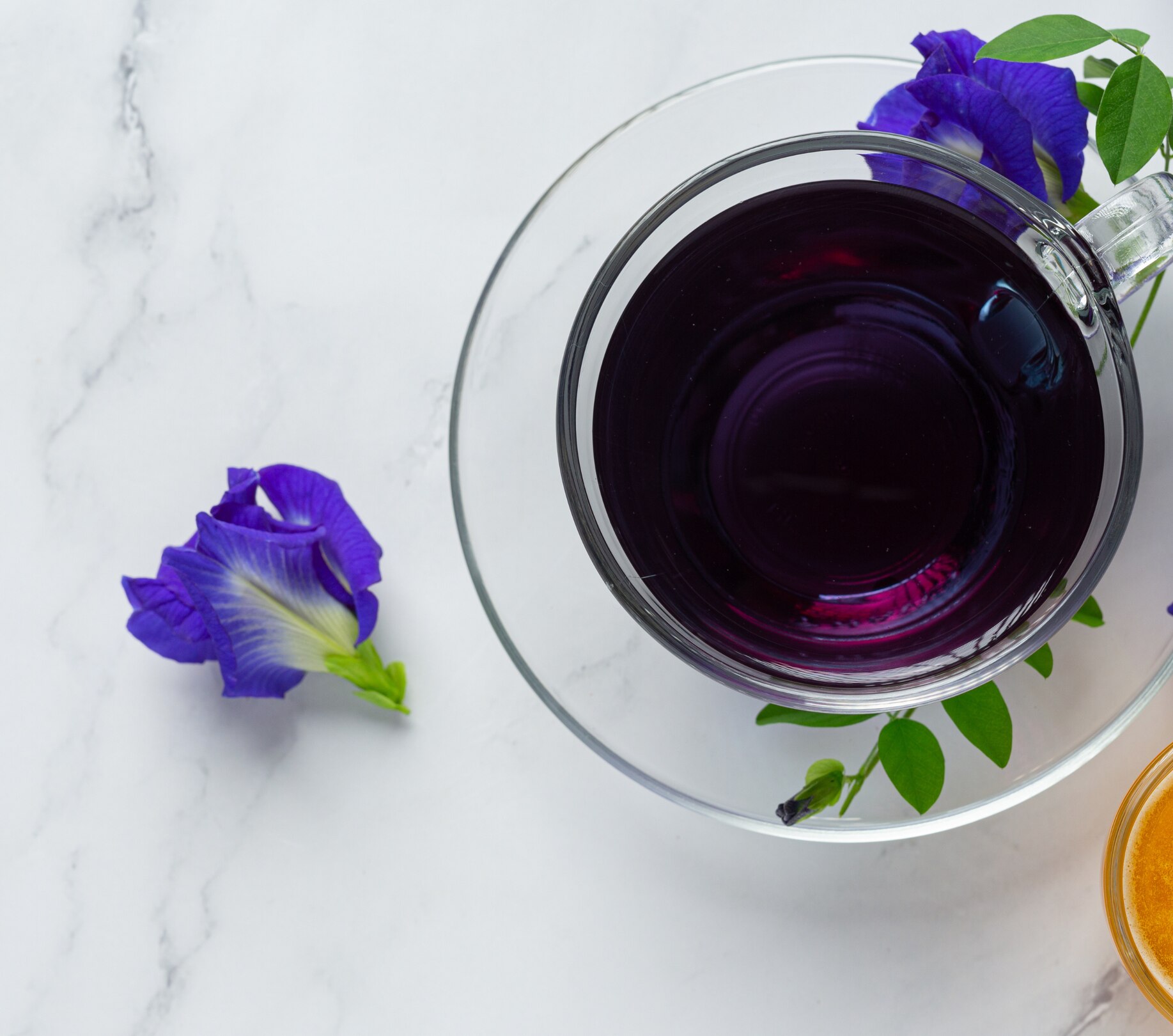 Image of Blue Tea Benefits: Uses, Side Effects & Weight Loss Facts Explained