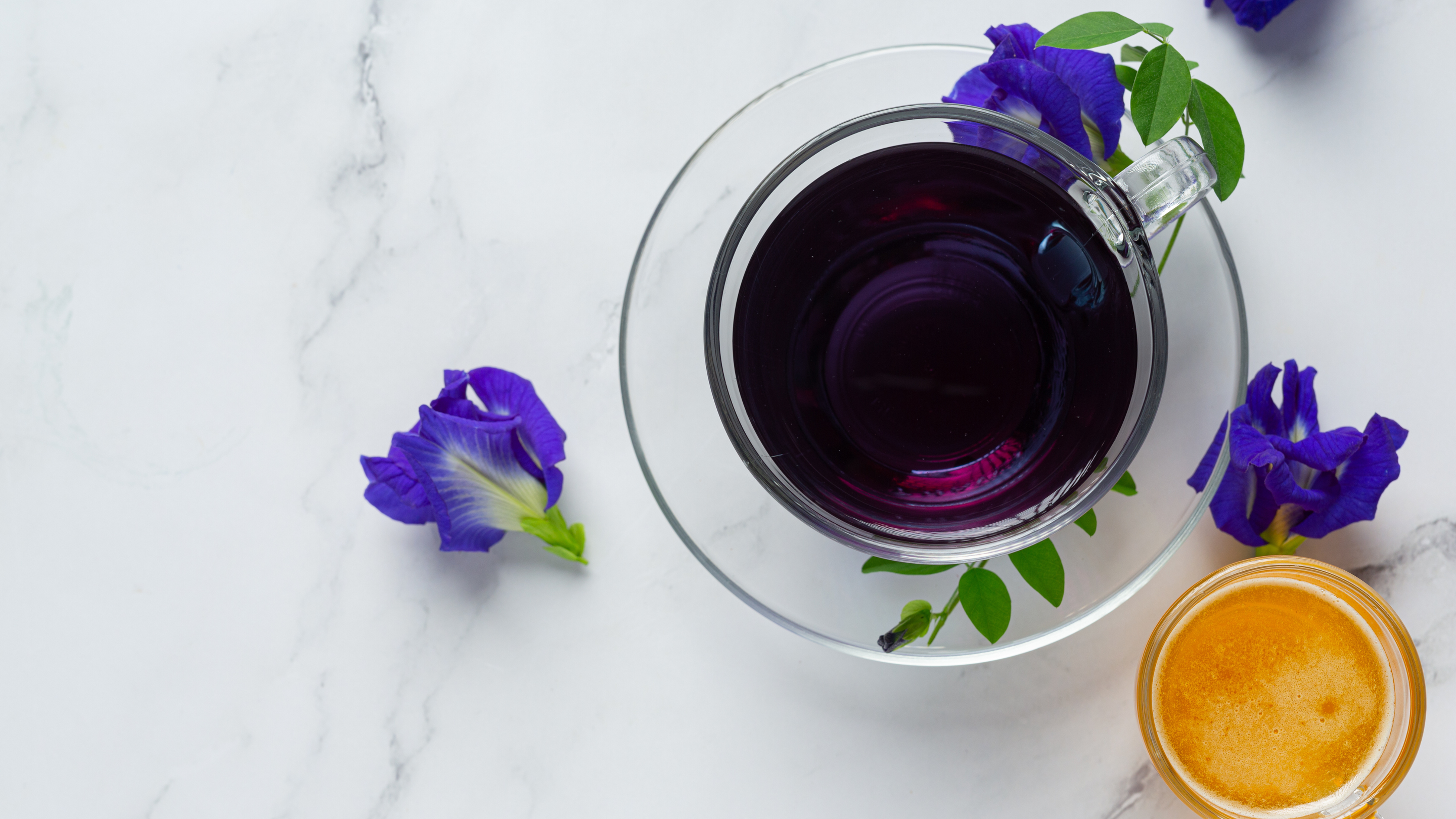 Blue Tea Benefits Uses and Weight Loss Facts