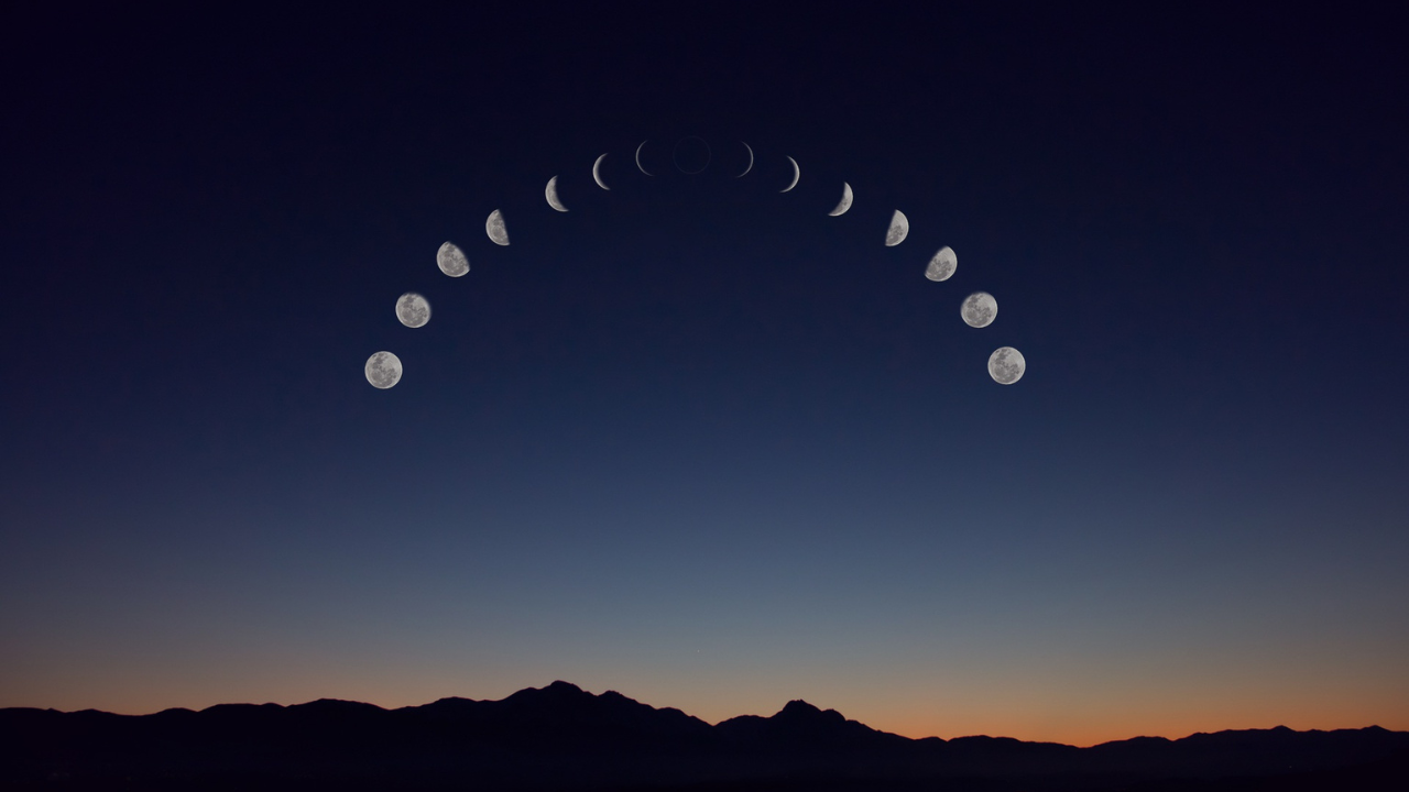 Leo Weekly Horoscope