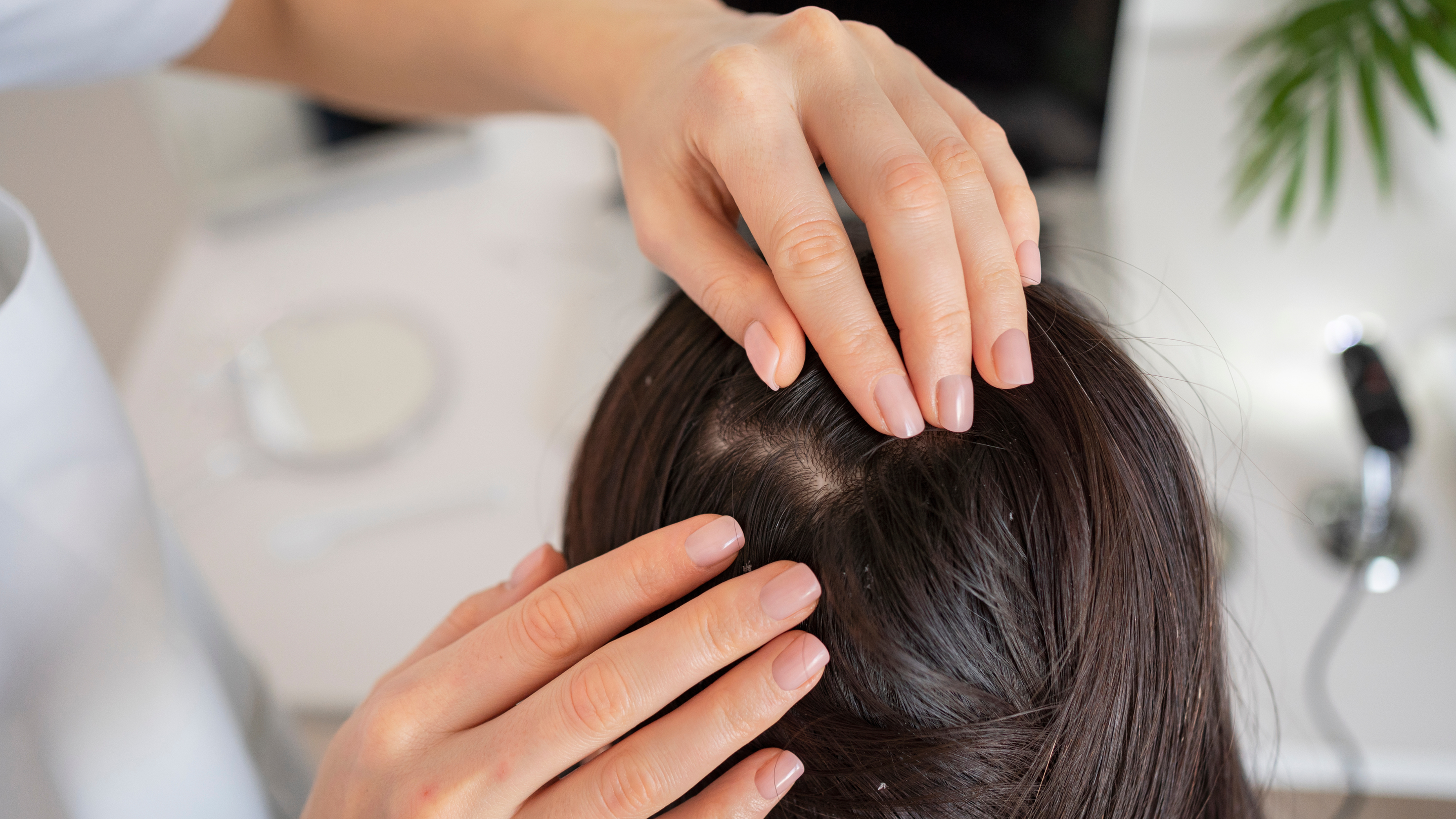 Ingredients to Avoid for an Oily Scalp