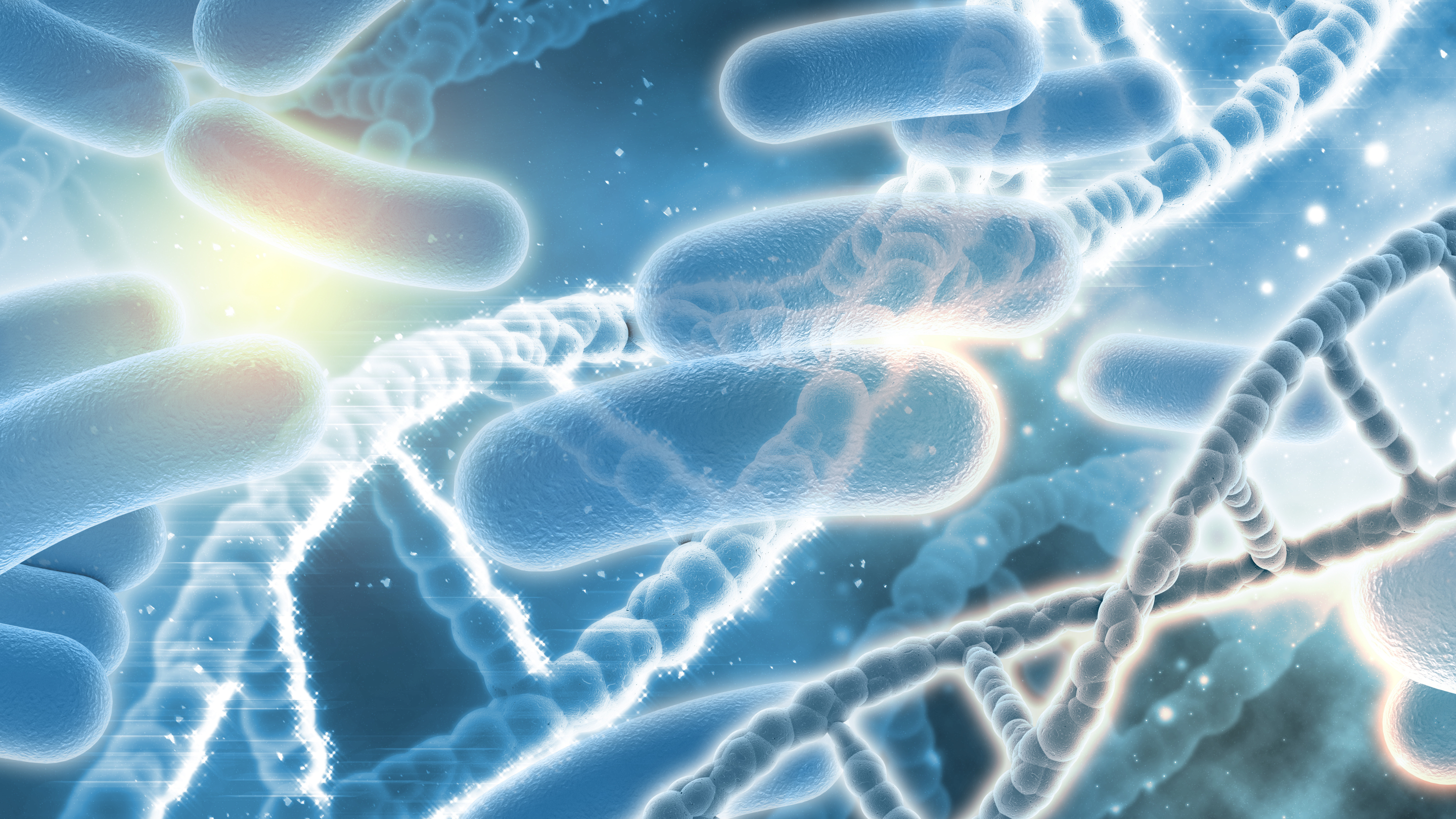 What Are Probiotics?