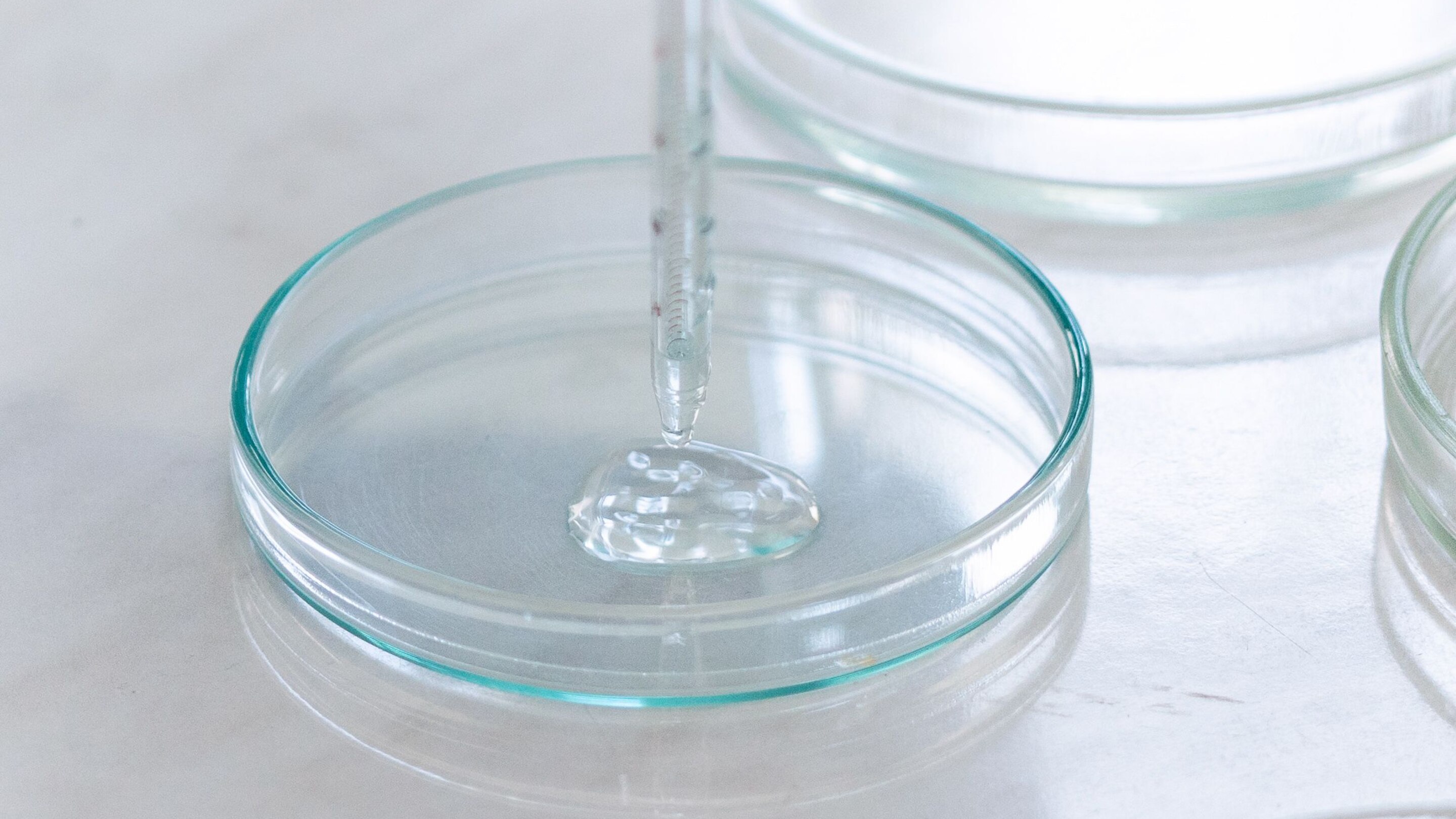 Ceramides: