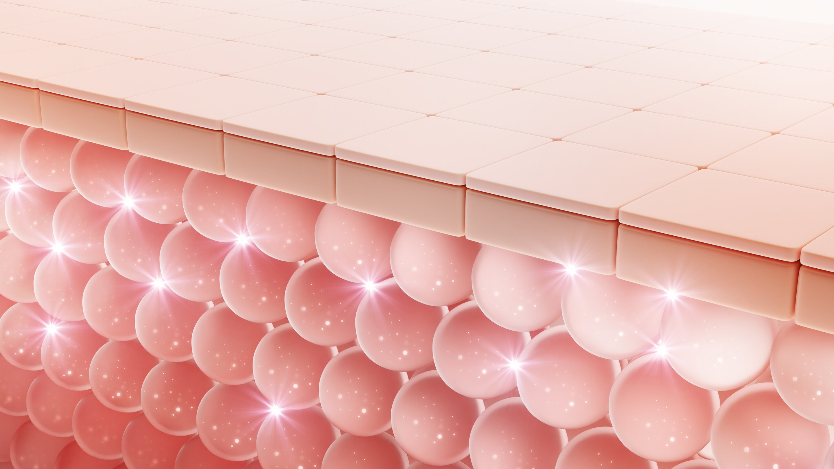 Supports the Skin Barrier