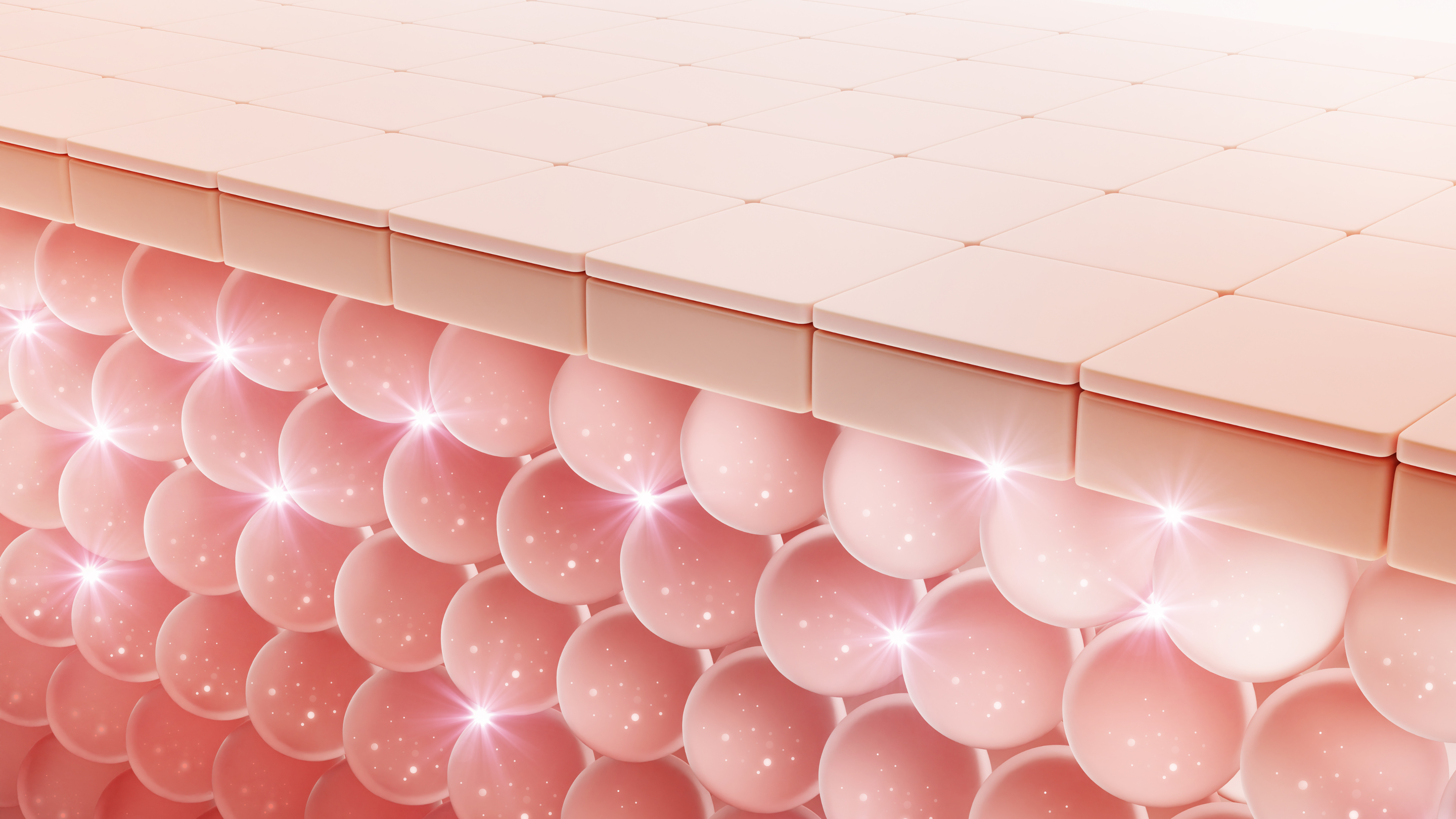 Supports the Skin Barrier