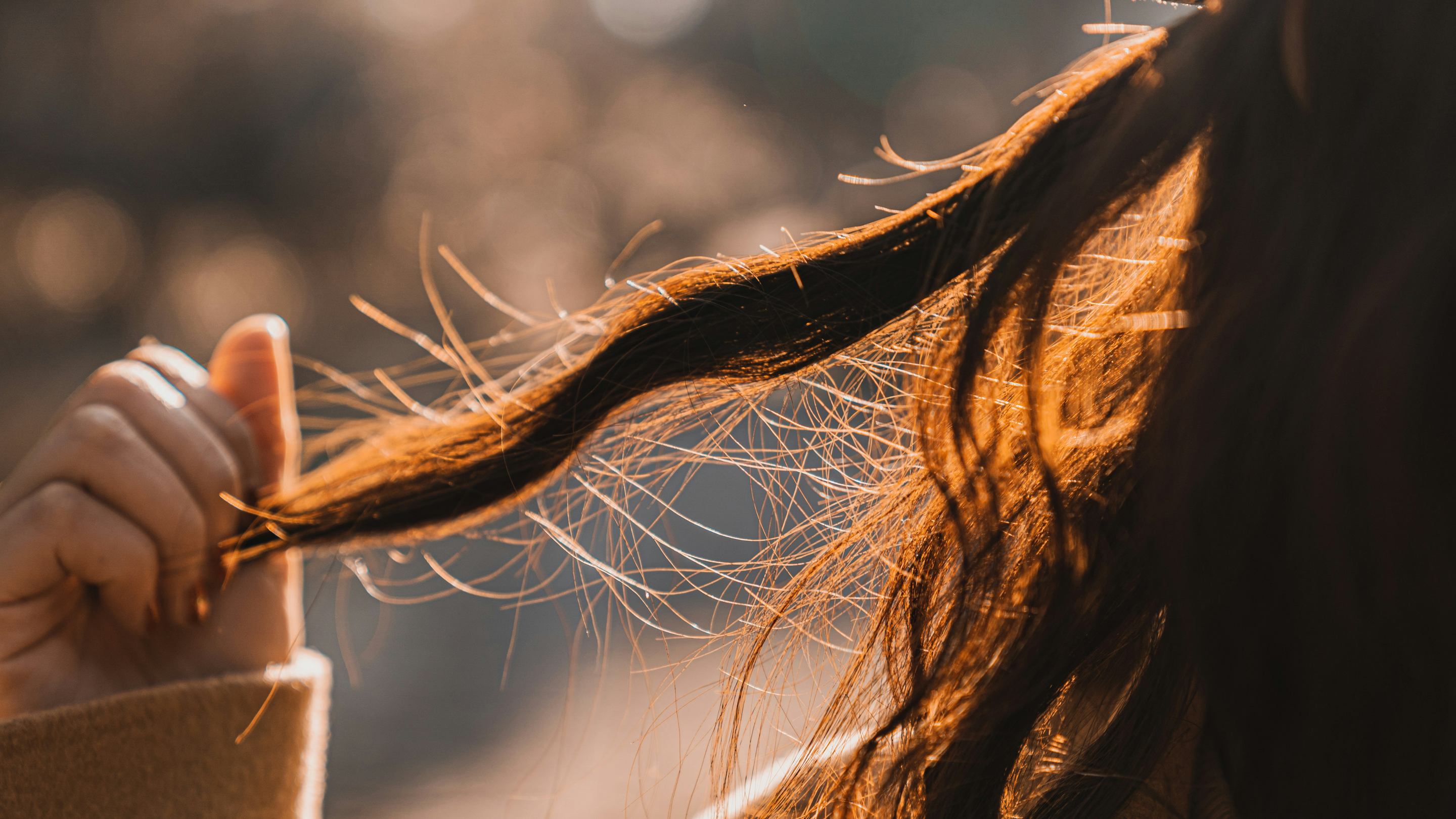 Can Hair Really Regrow?