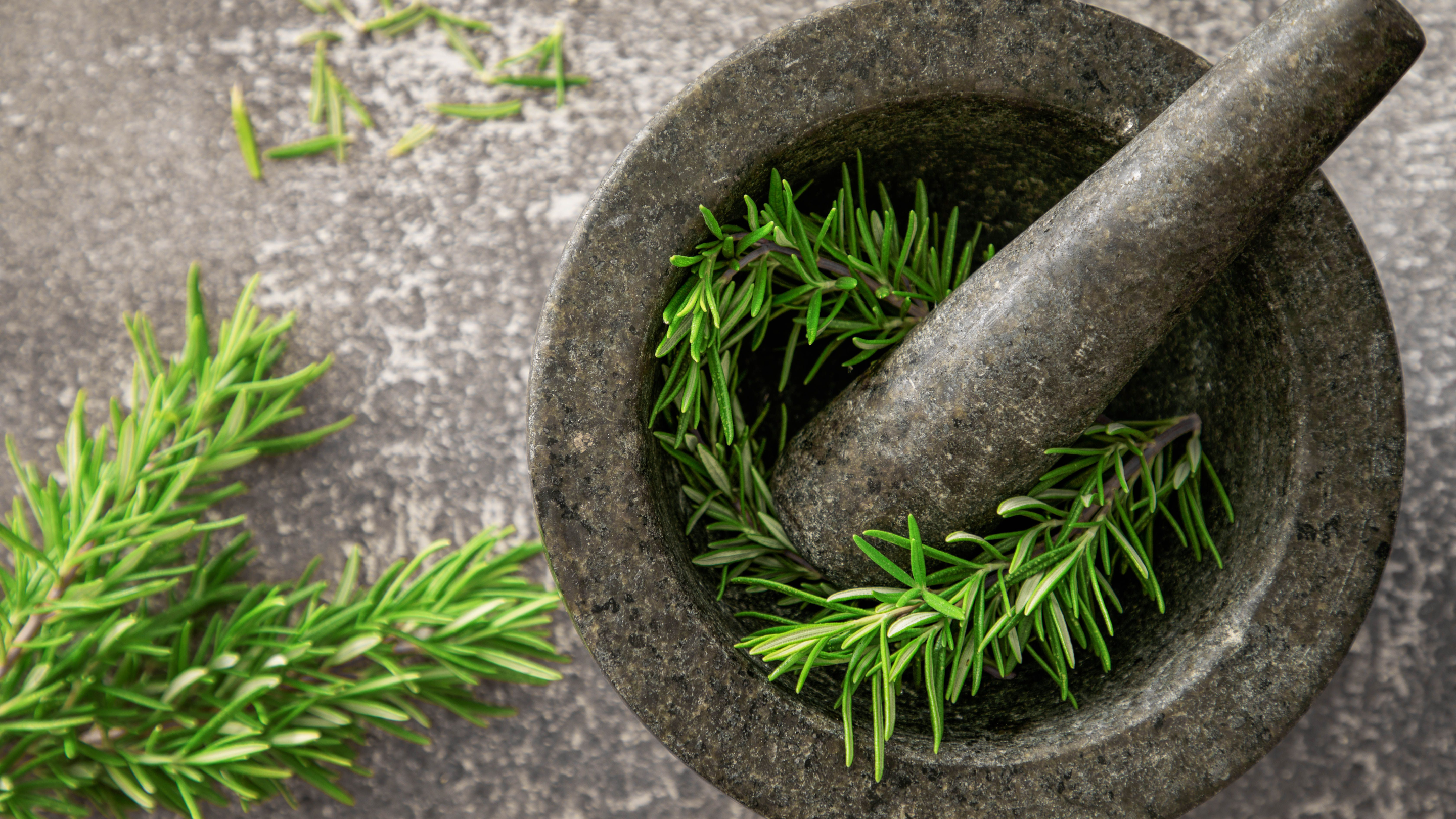 Rosemary Extract