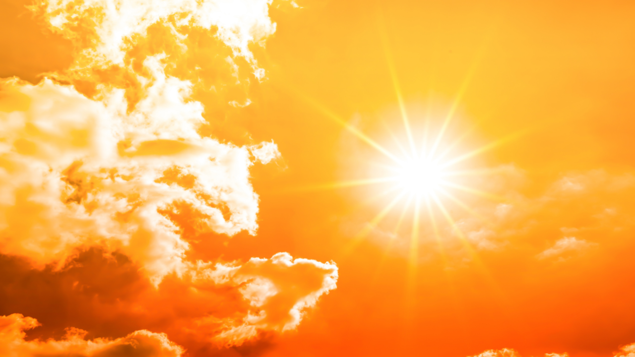 Protect hair from the sun