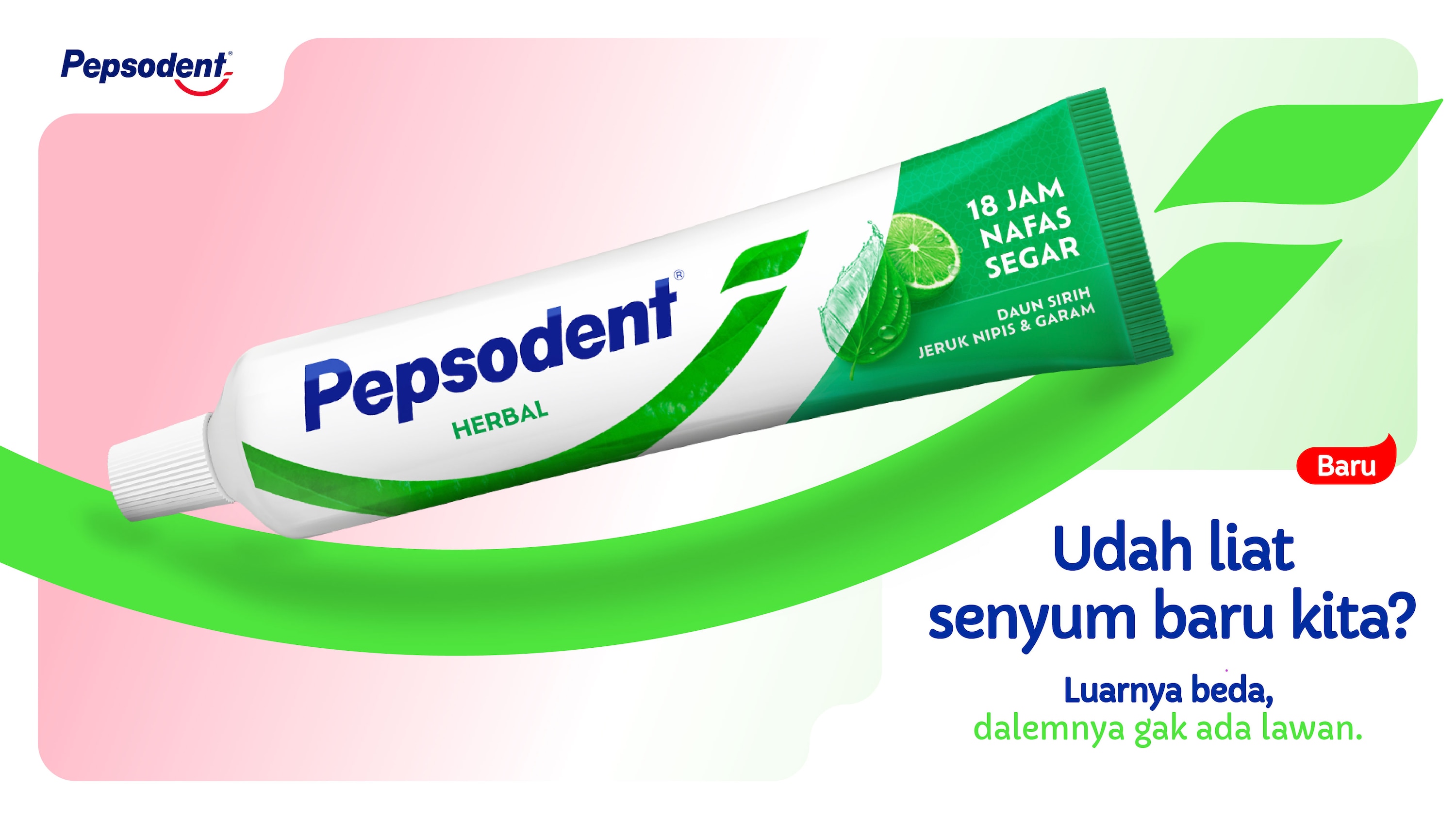 gum expert