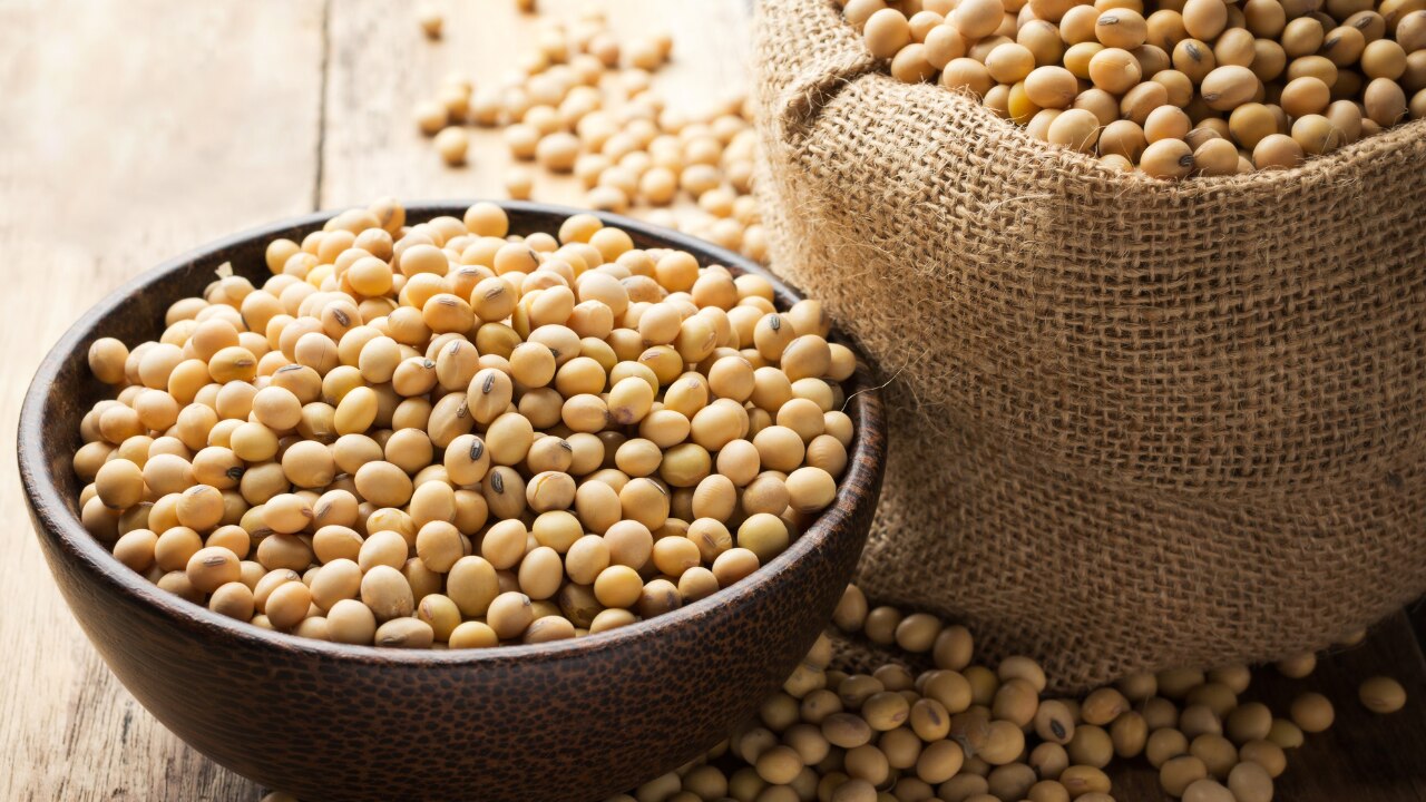 4. Soy