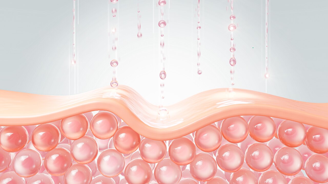 What is Collagen?