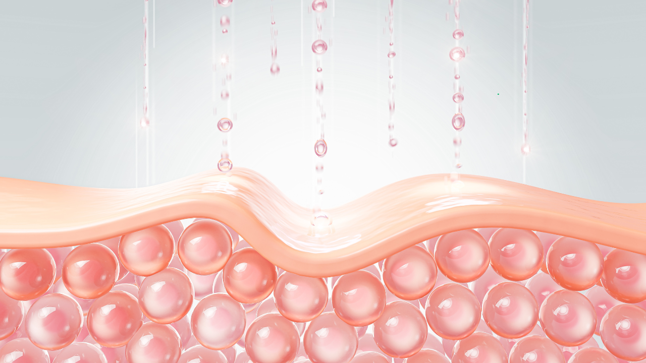 What is Collagen?