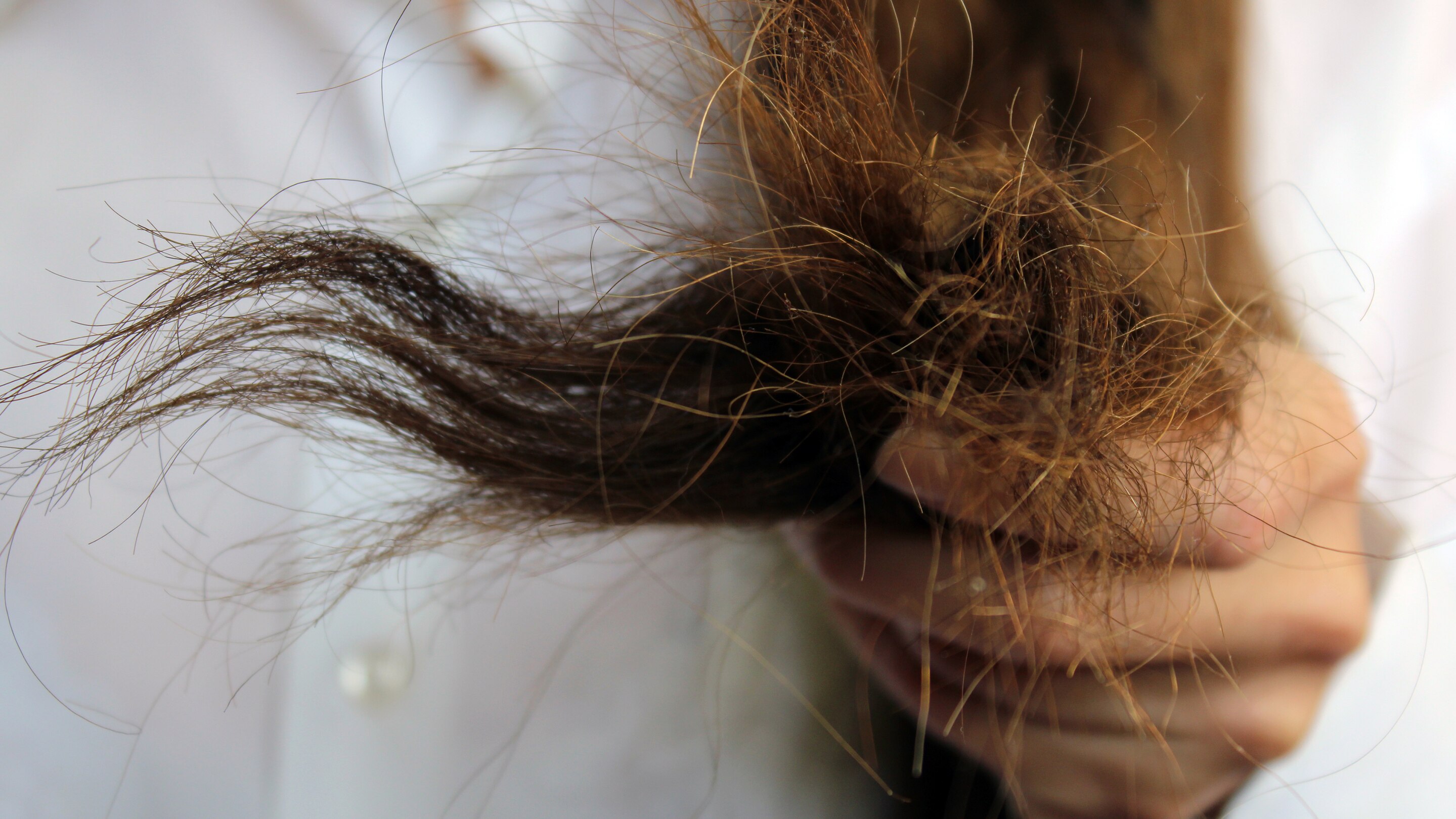 Dry and Frizzy Hair