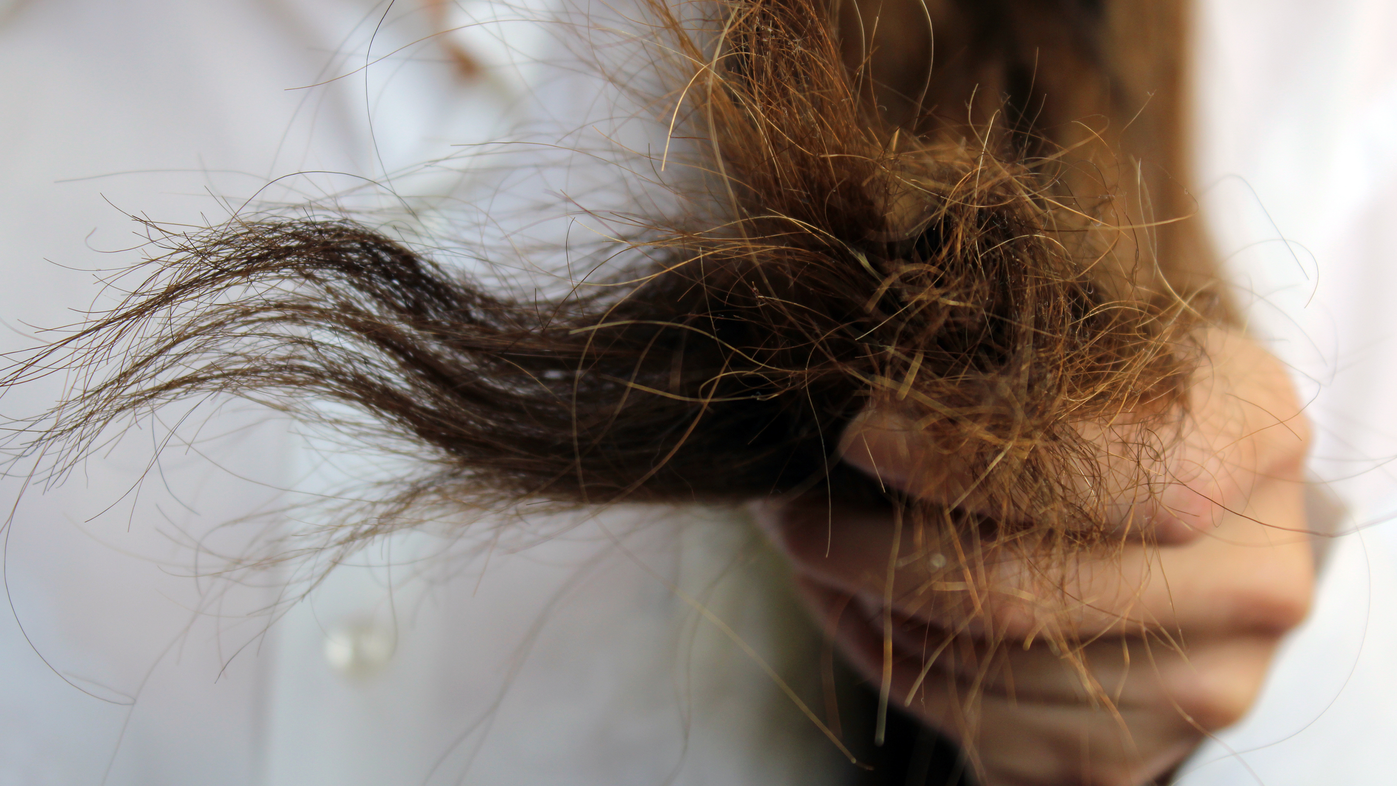 Dry and Frizzy Hair
