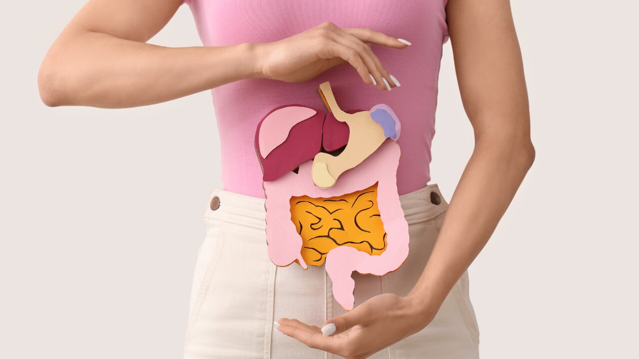 May Support Digestion: