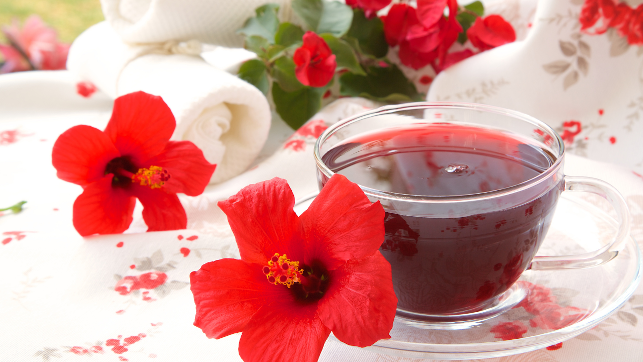 Best Time to Drink Hibiscus Tea