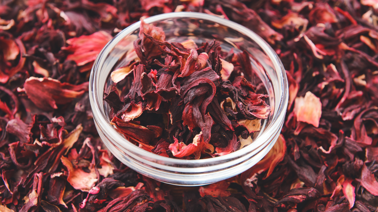 Step 1: Measure the Hibiscus