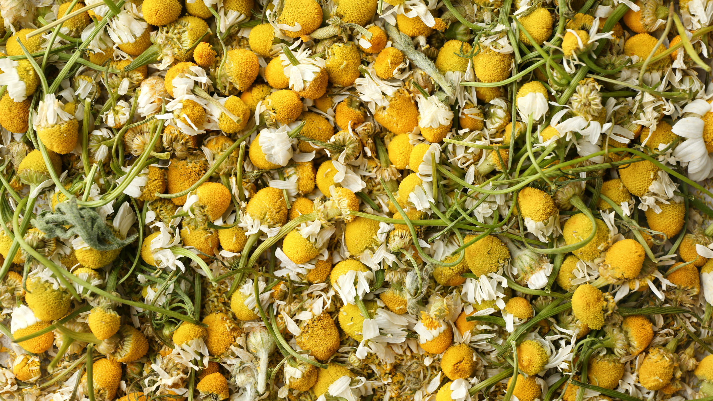 Step 1: Choose quality flowers or tea bags