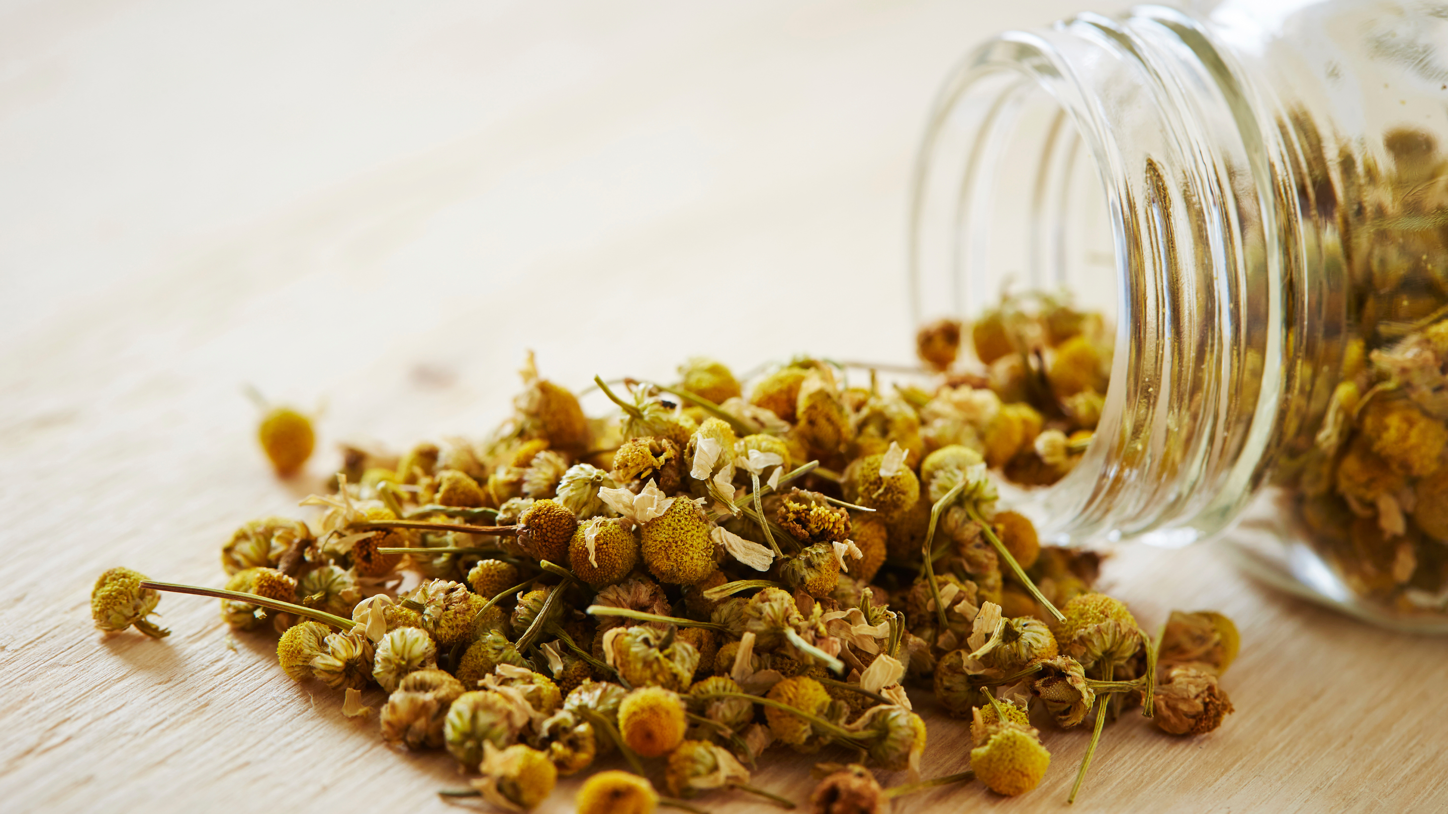 How Much Chamomile Tea Can You Drink?