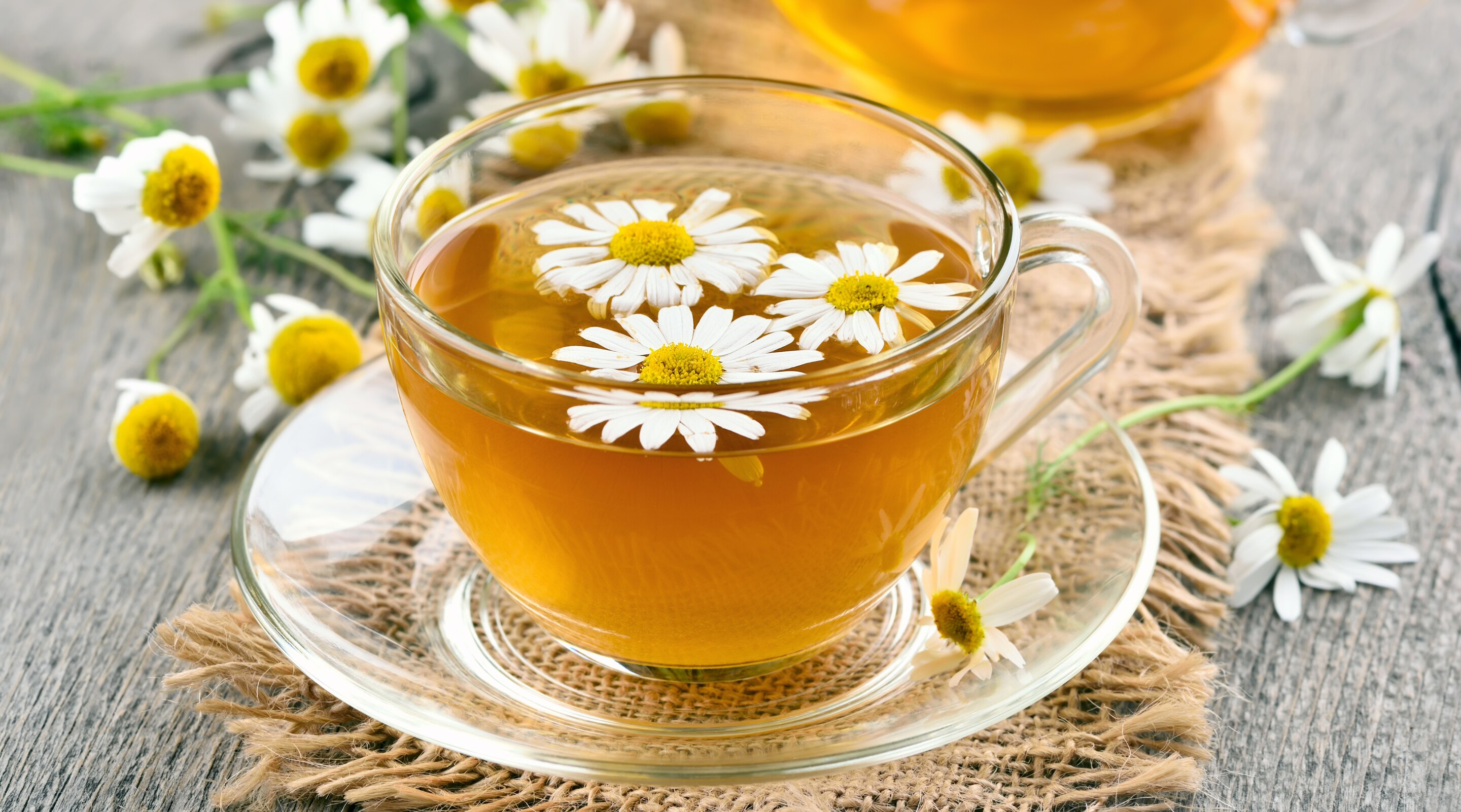 Chamomile Tea Benefits, Uses and Potential Side Effects