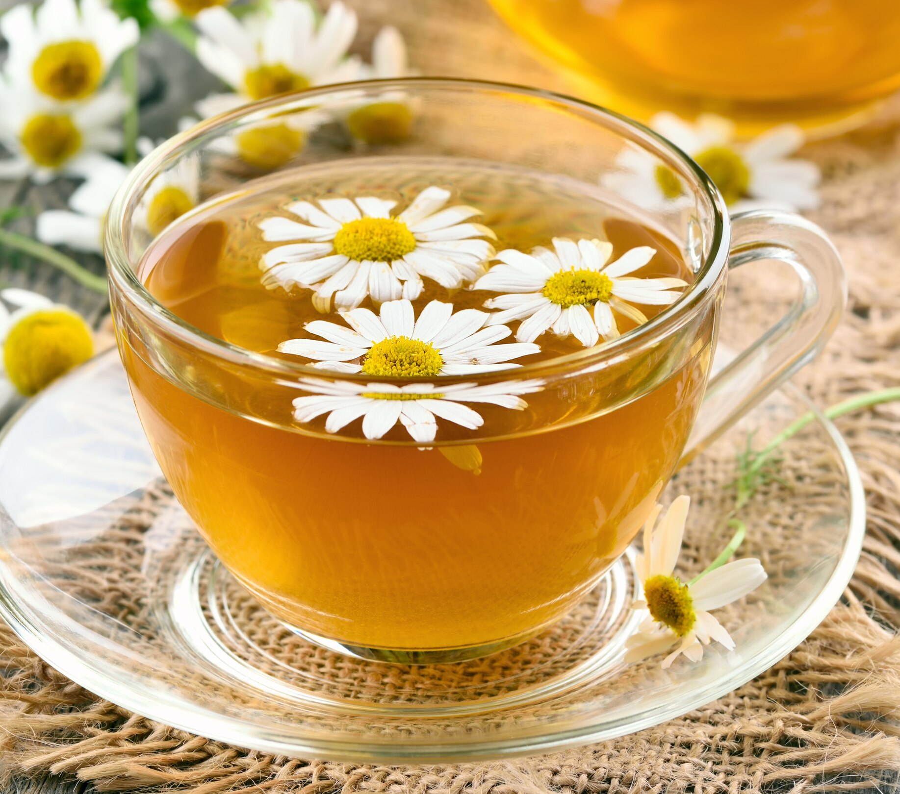 Image of Chamomile Tea: Benefits, Uses & Best Time to Drink It