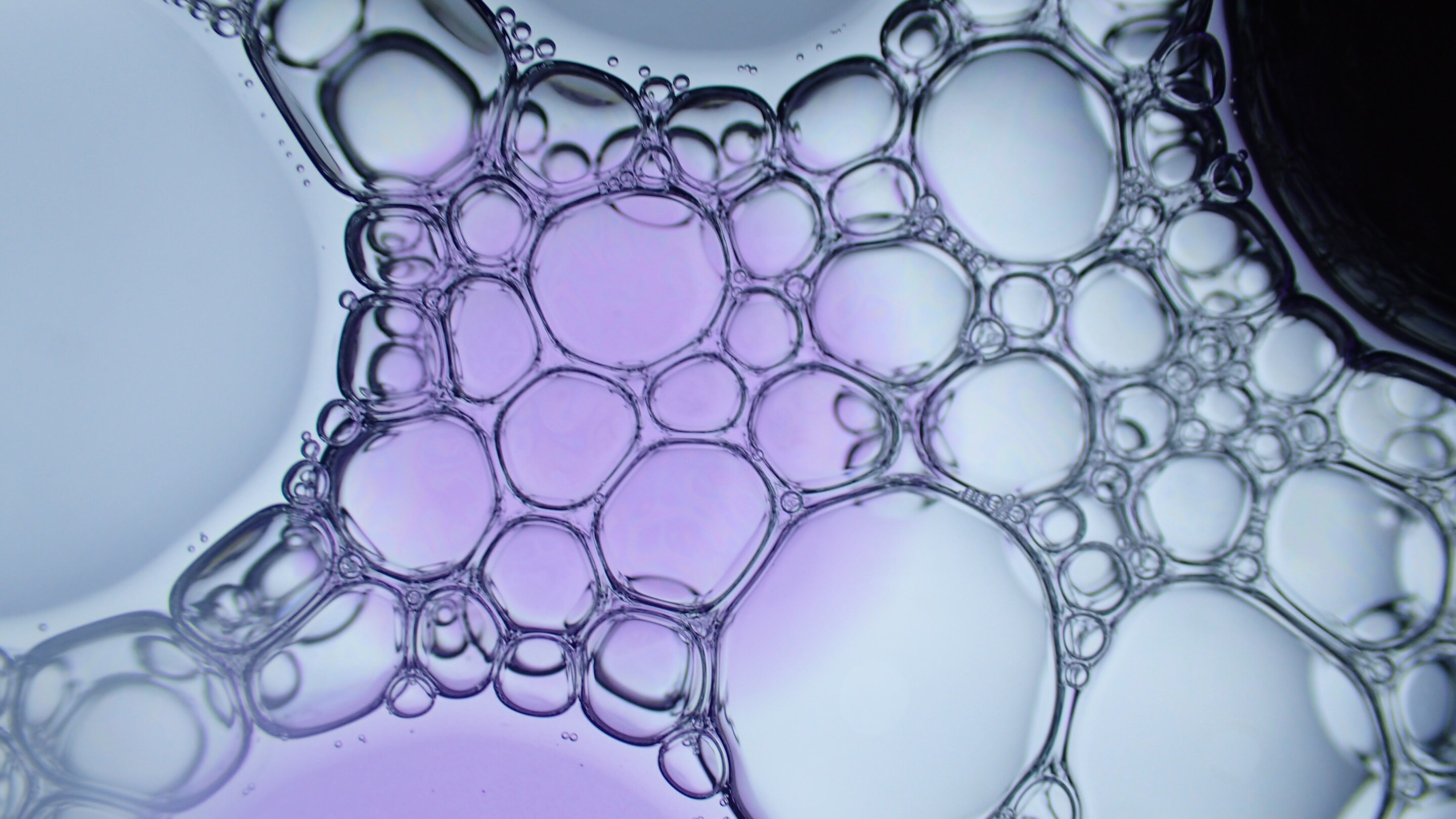 Peptides