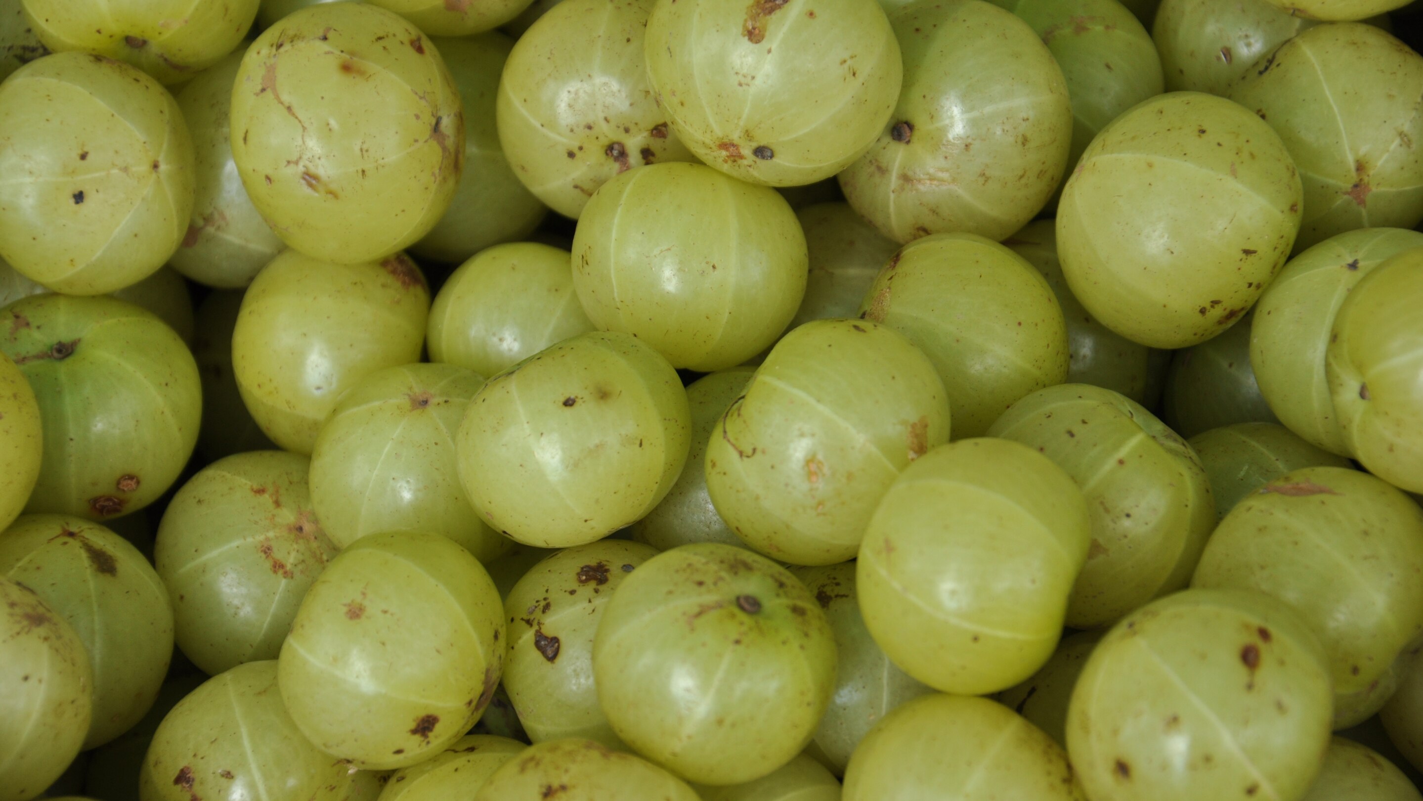 Benefits of Eating Amla Daily