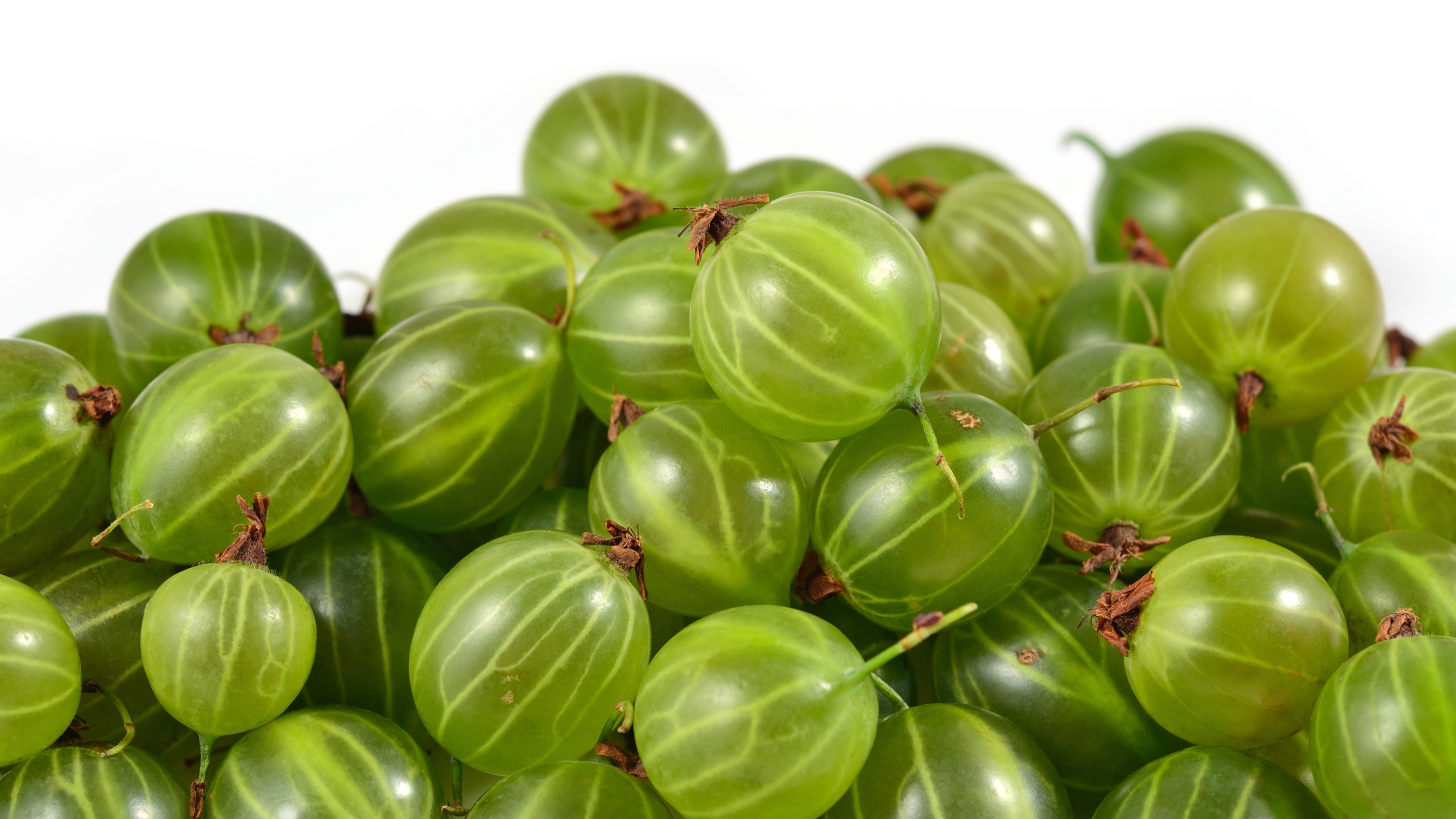 Supports antioxidant protection