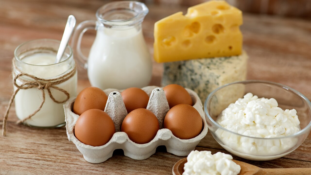 Eggs & Plain Dairy