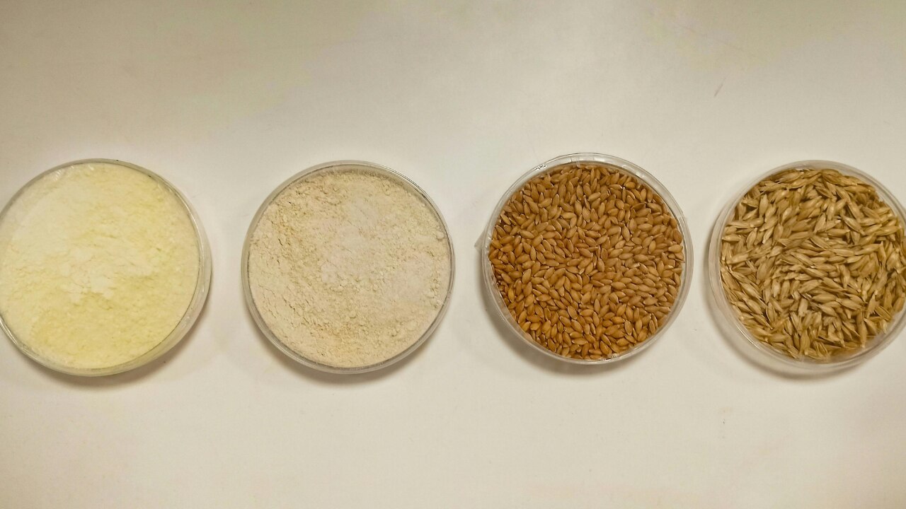 Gluten-Free Grains & Starches