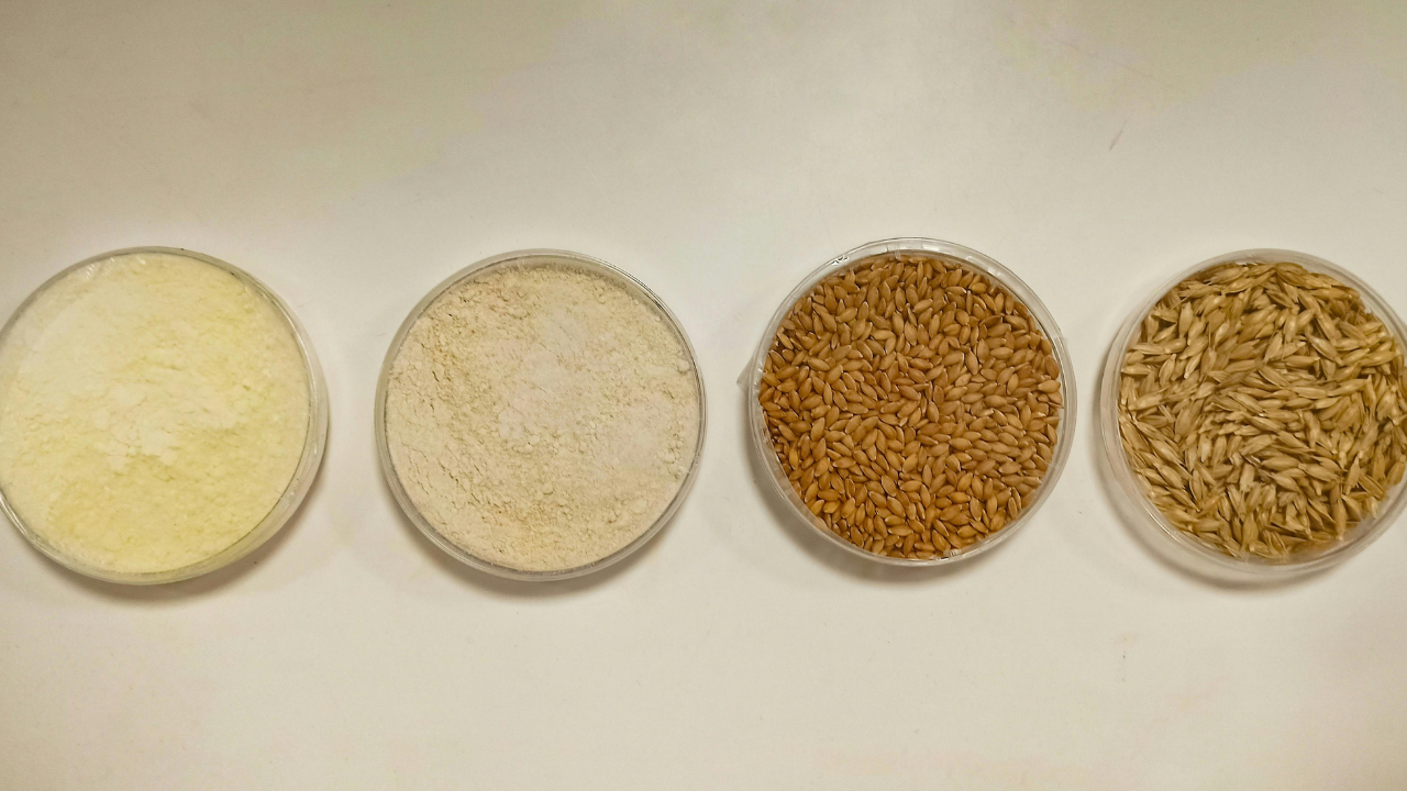 Gluten-Free Grains & Starches