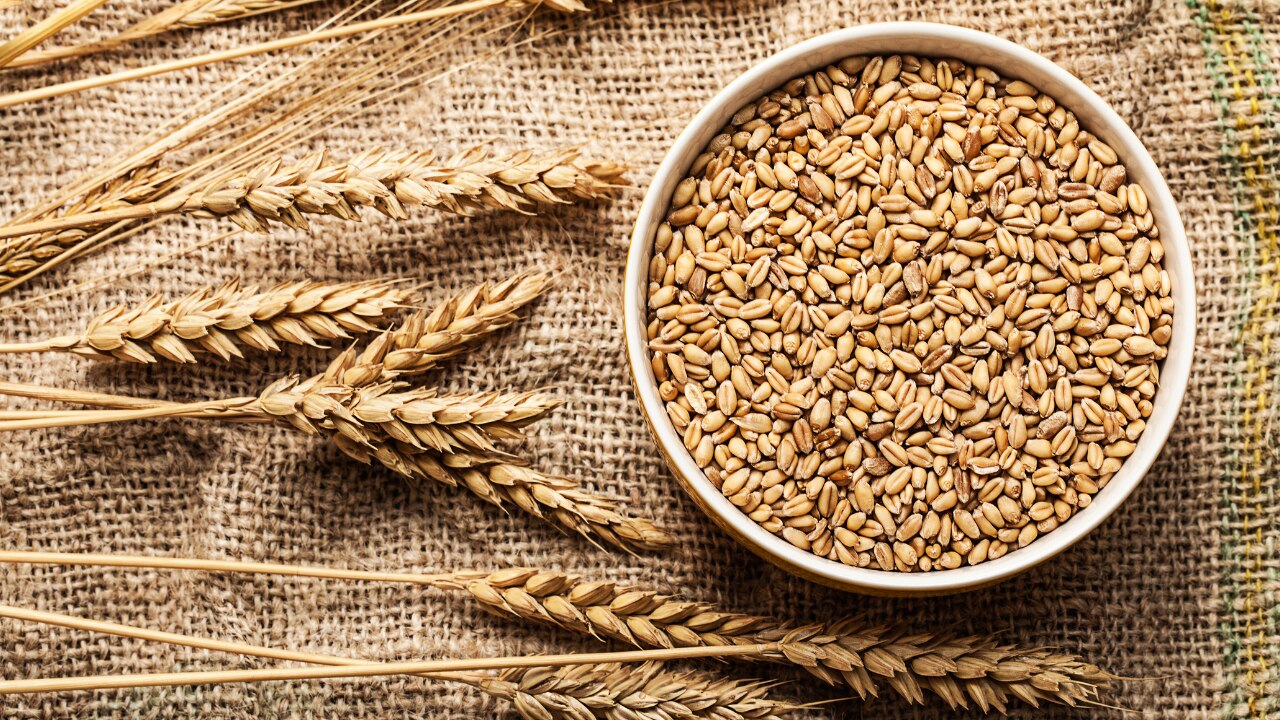 Wheat & Wheat-Based Grains