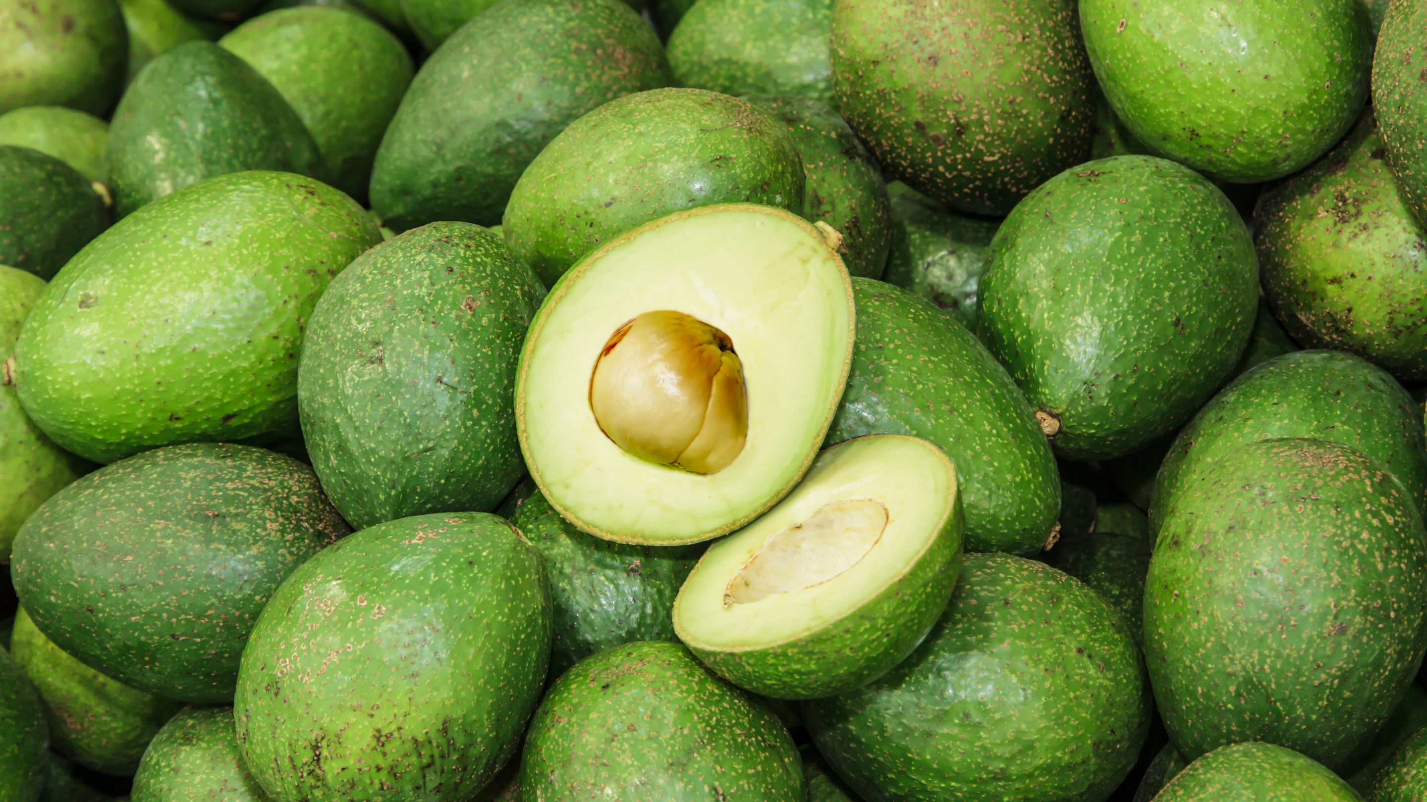 Avocado
