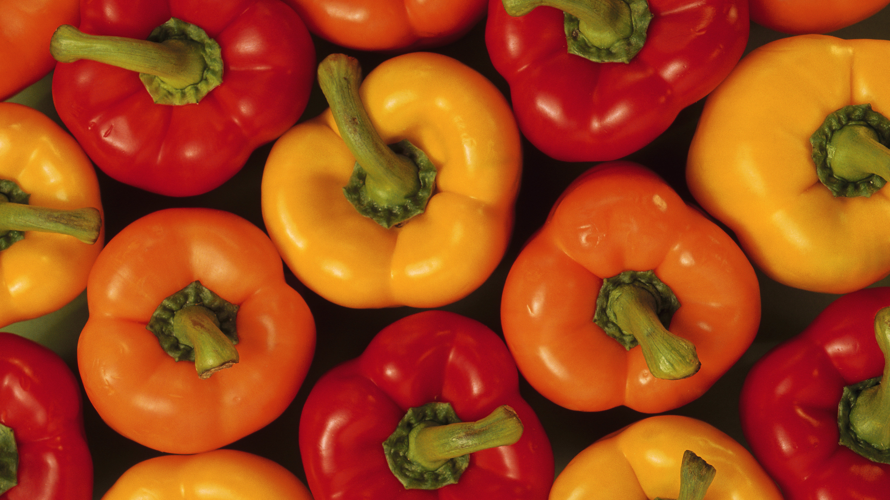 Bell Peppers (Red & Yellow)