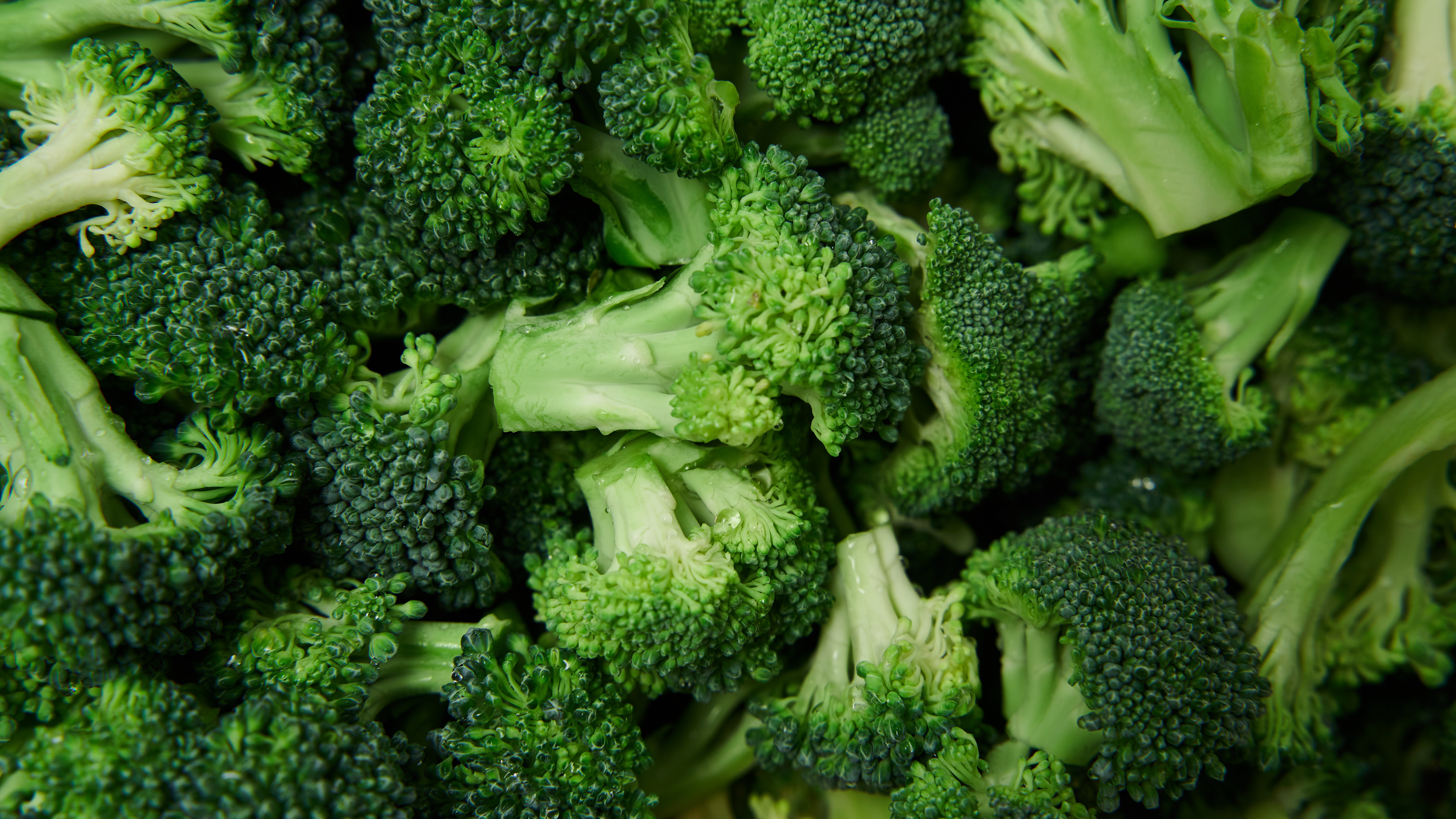 Broccoli & Cruciferous Vegetables
