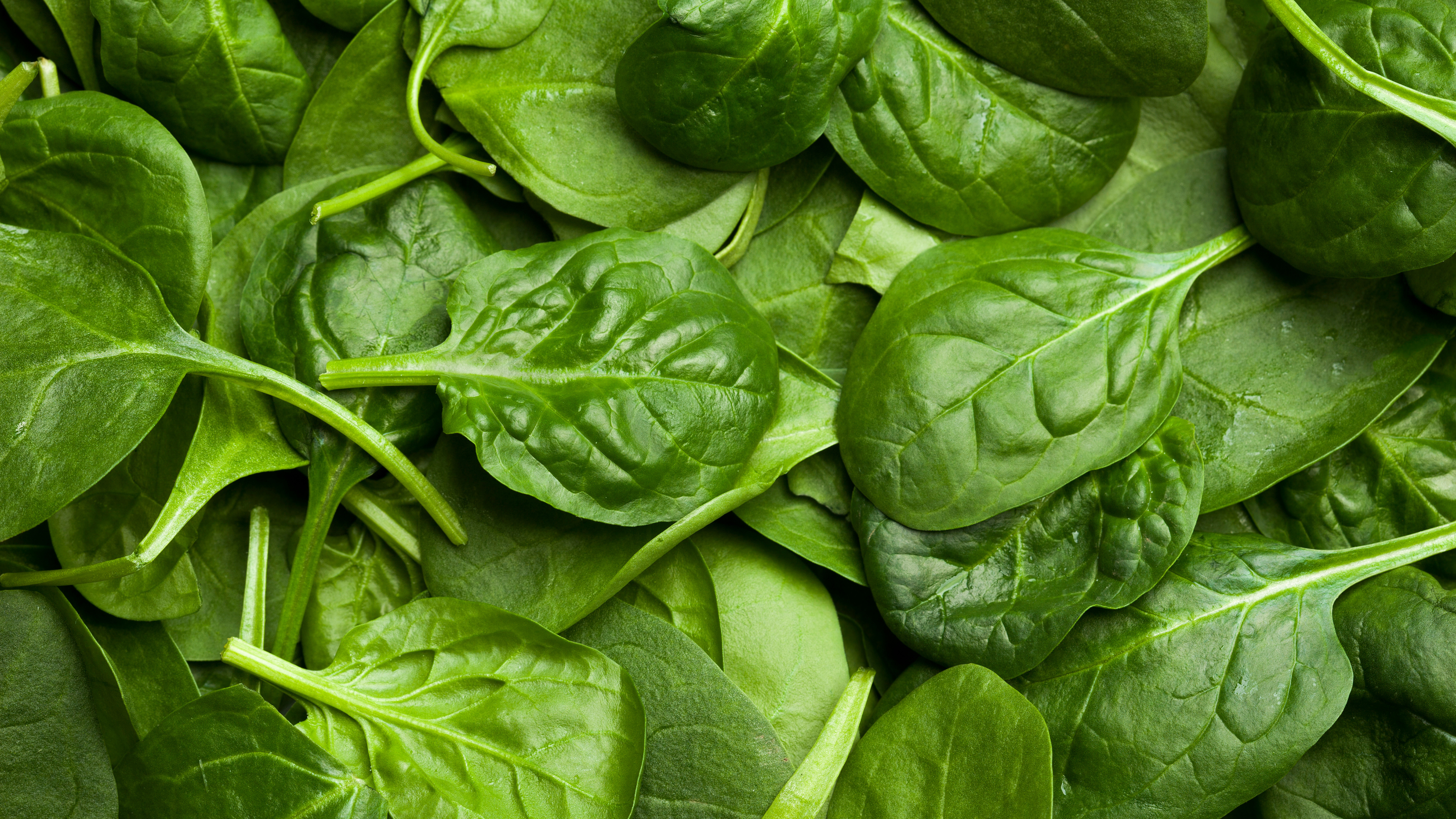 Spinach