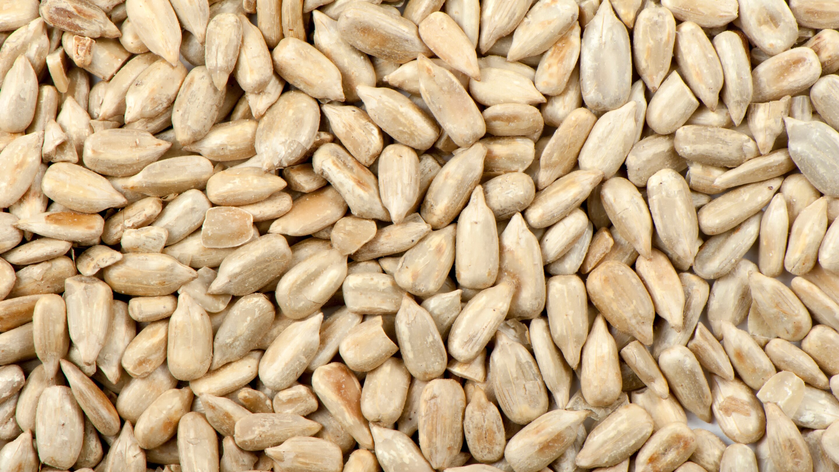 Sunflower Seeds